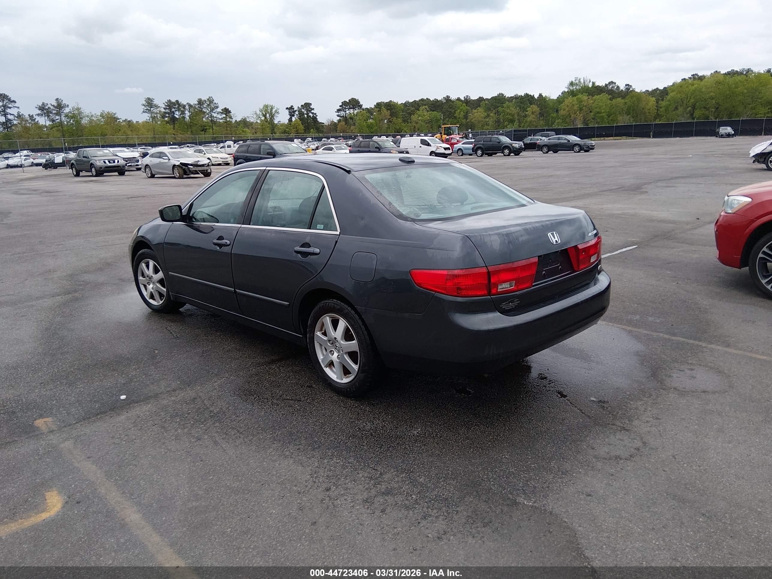 HONDA ACCORD image 3
