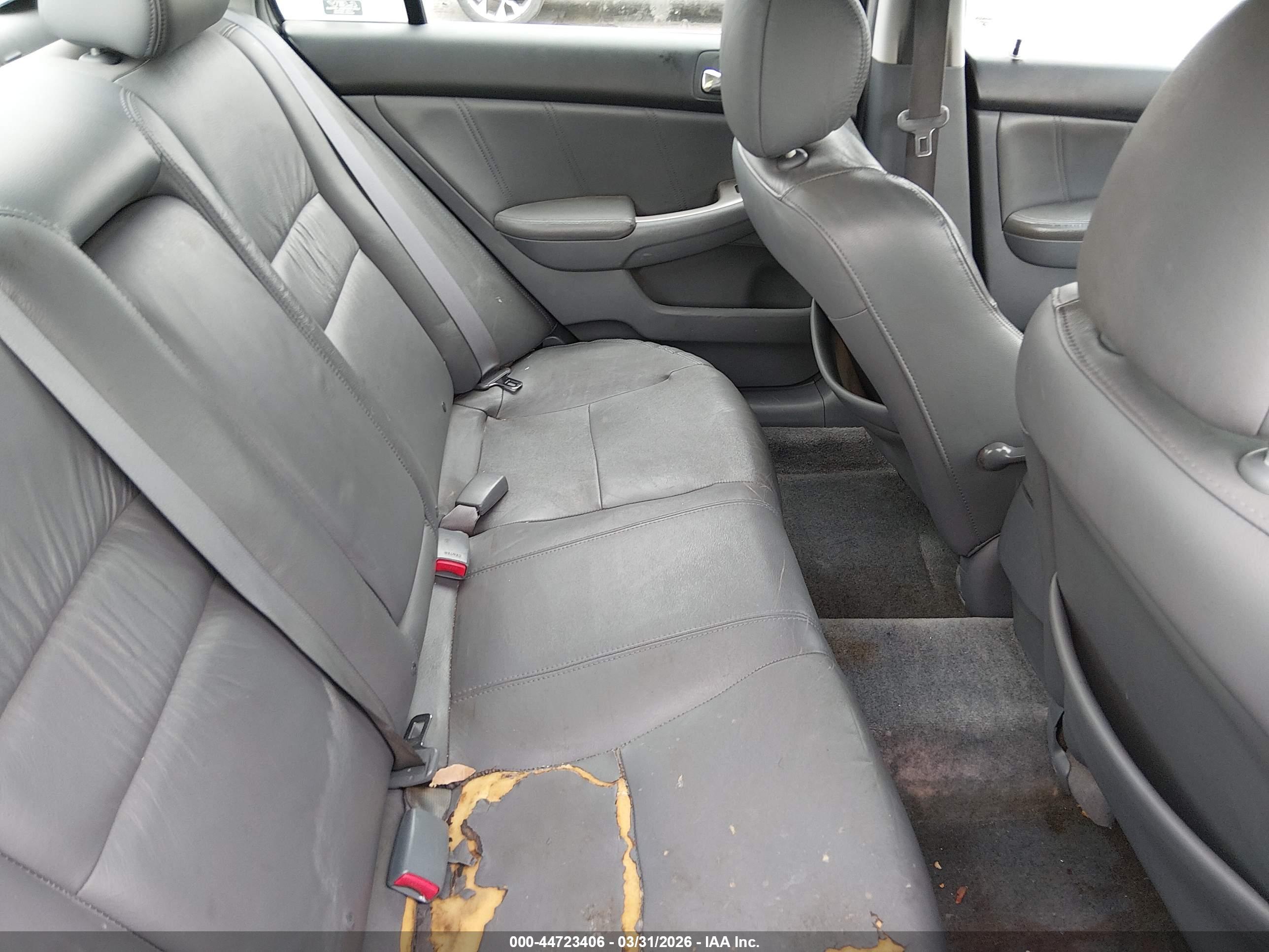 HONDA ACCORD image 8