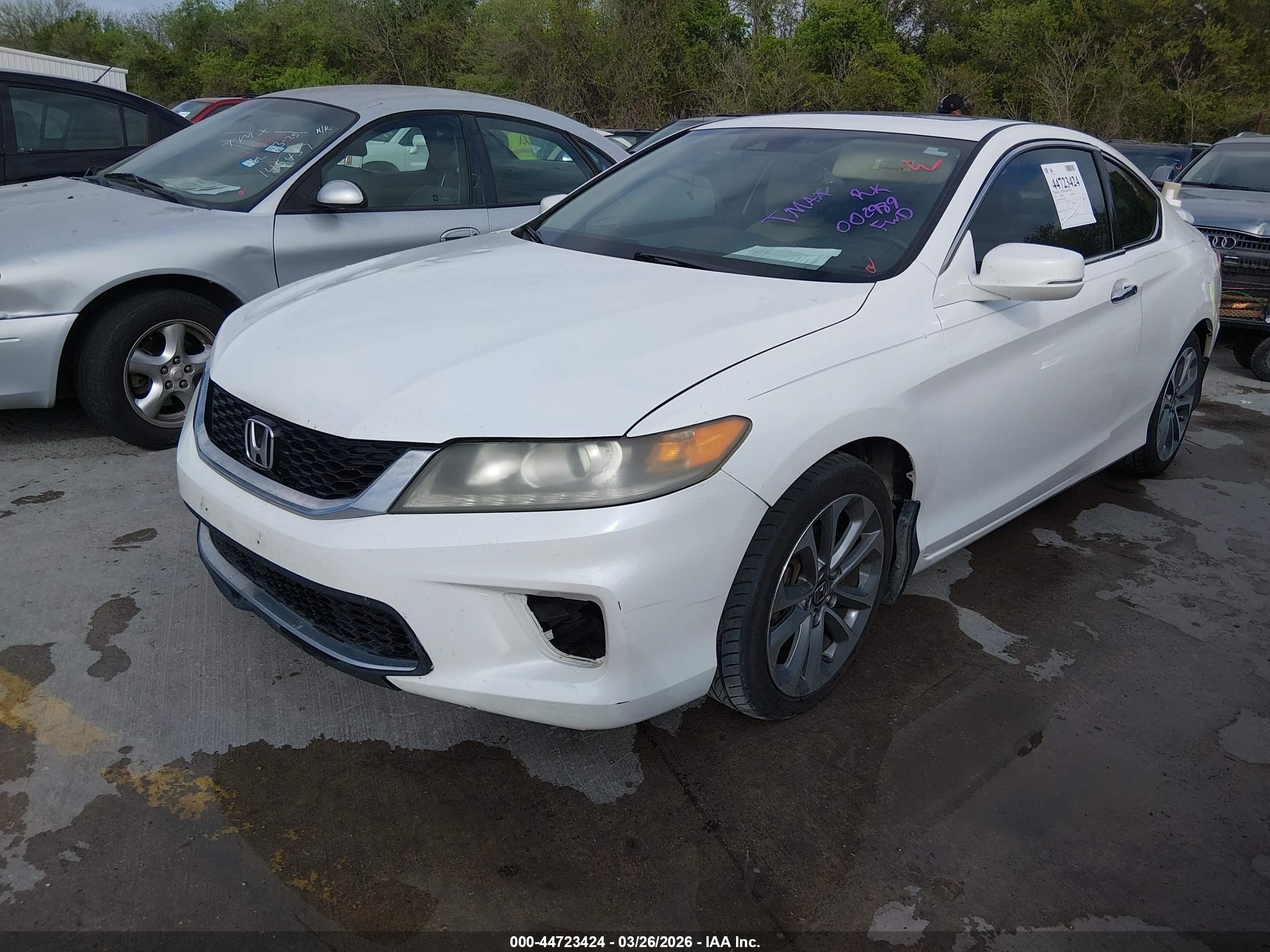 HONDA ACCORD image 2