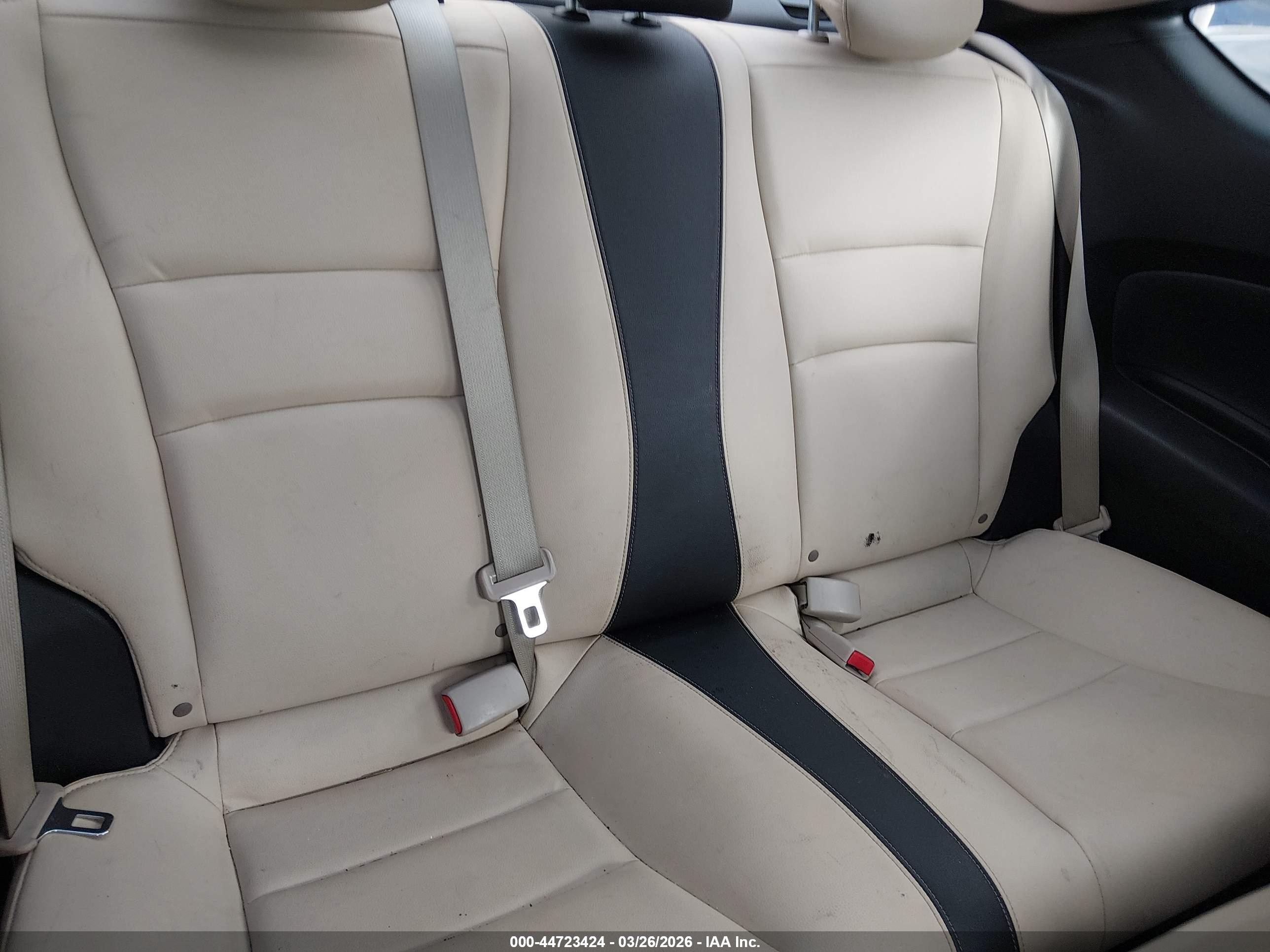 HONDA ACCORD image 8