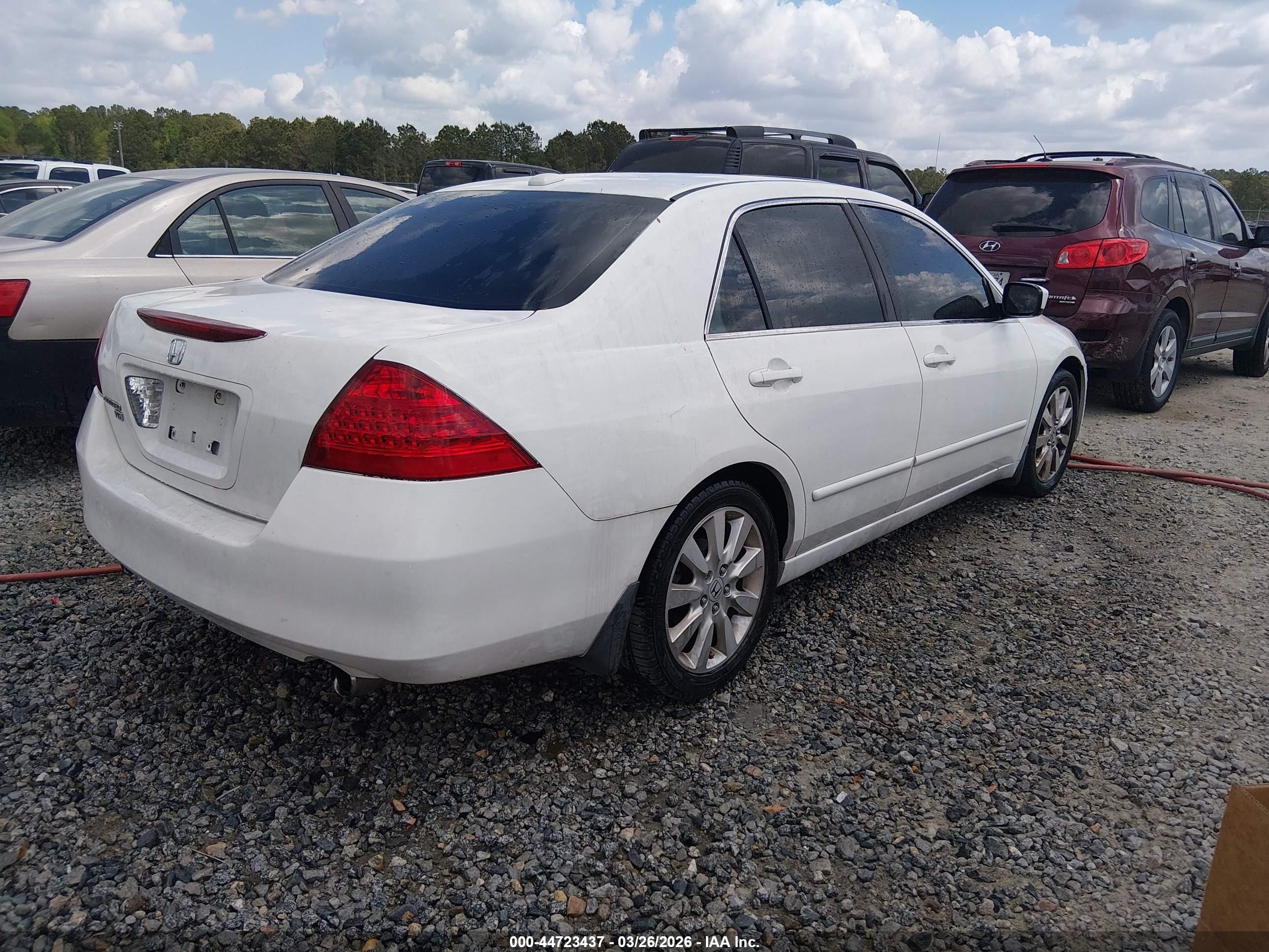 HONDA ACCORD image 4
