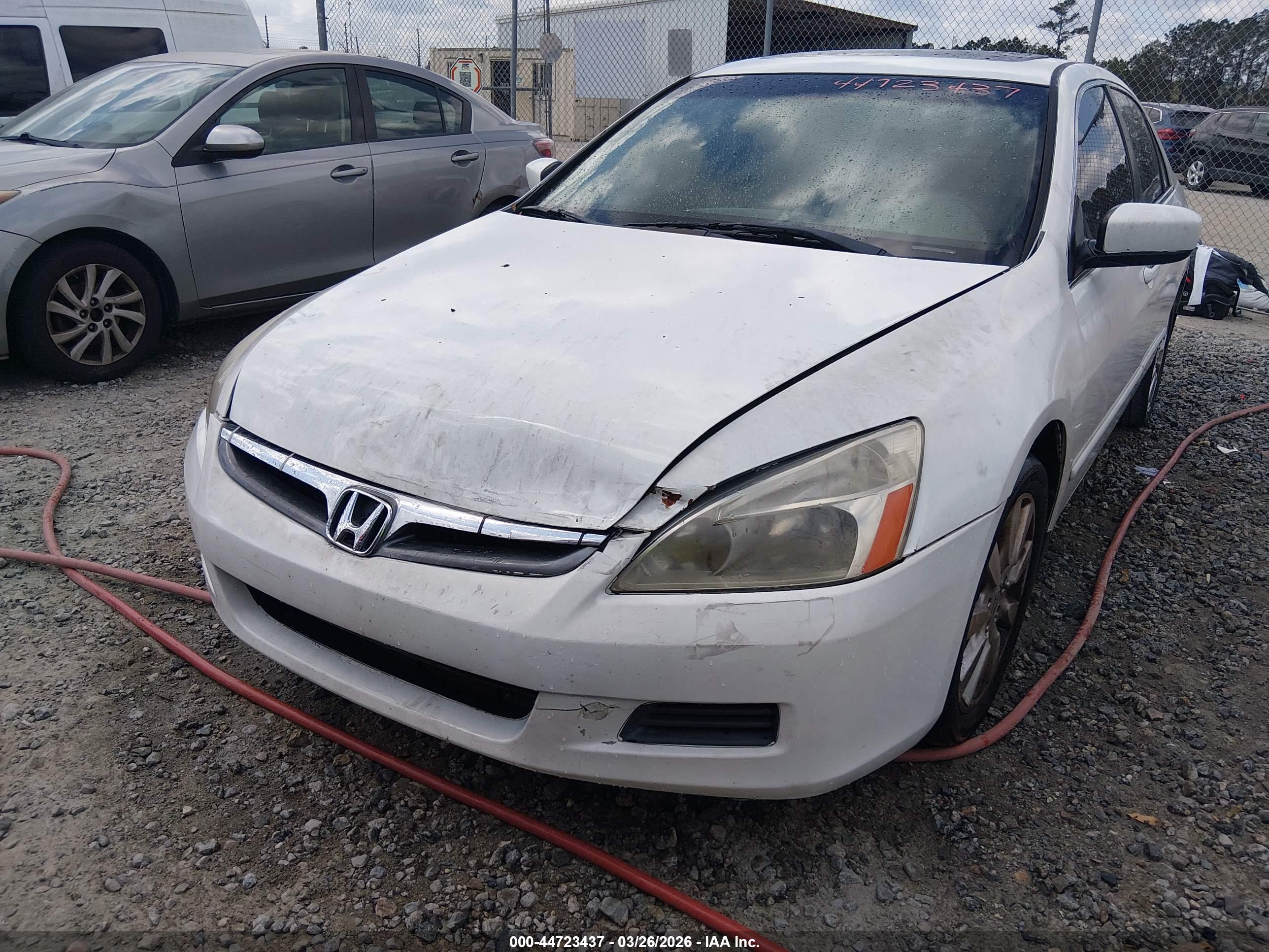 HONDA ACCORD image 6