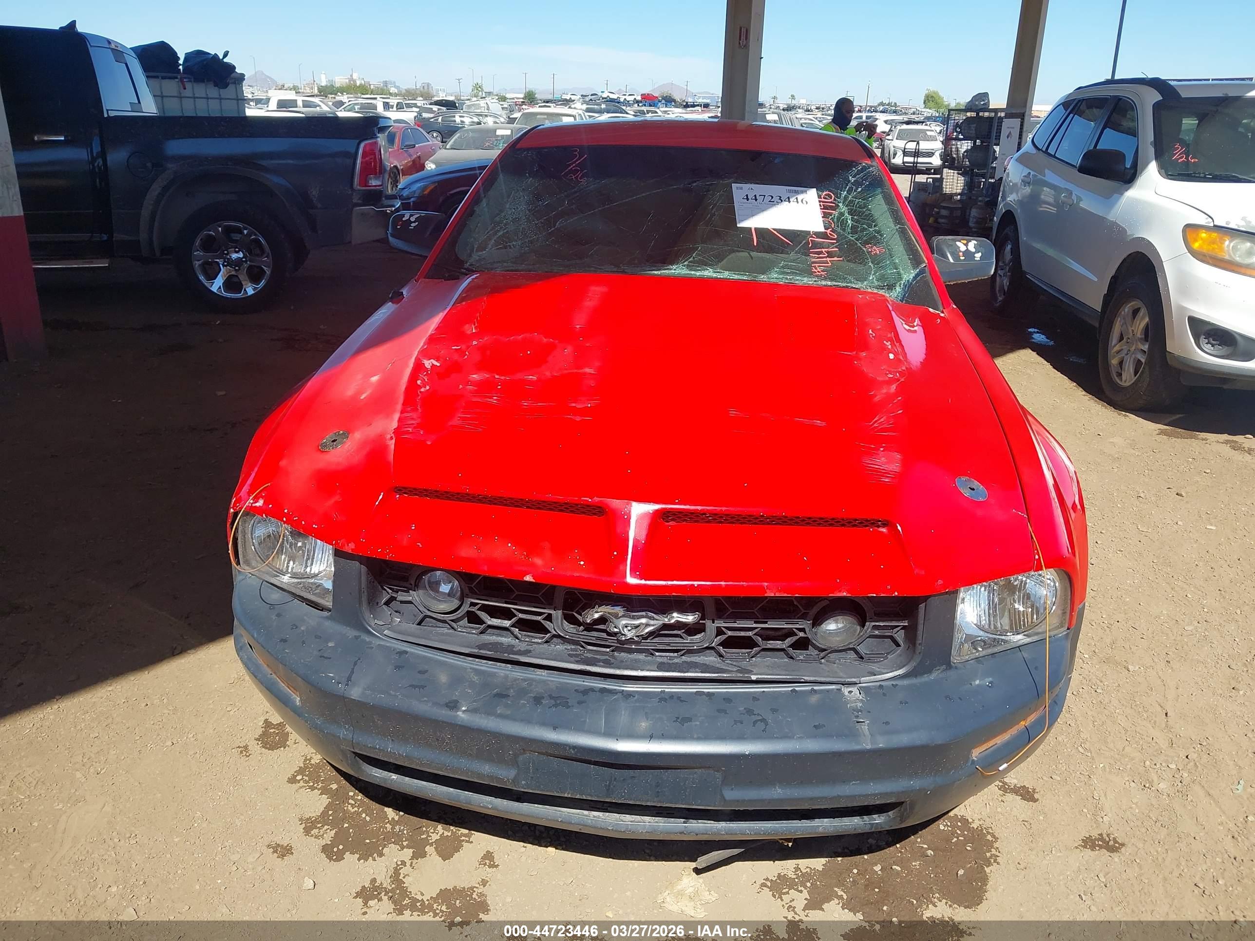 FORD MUSTANG image 6