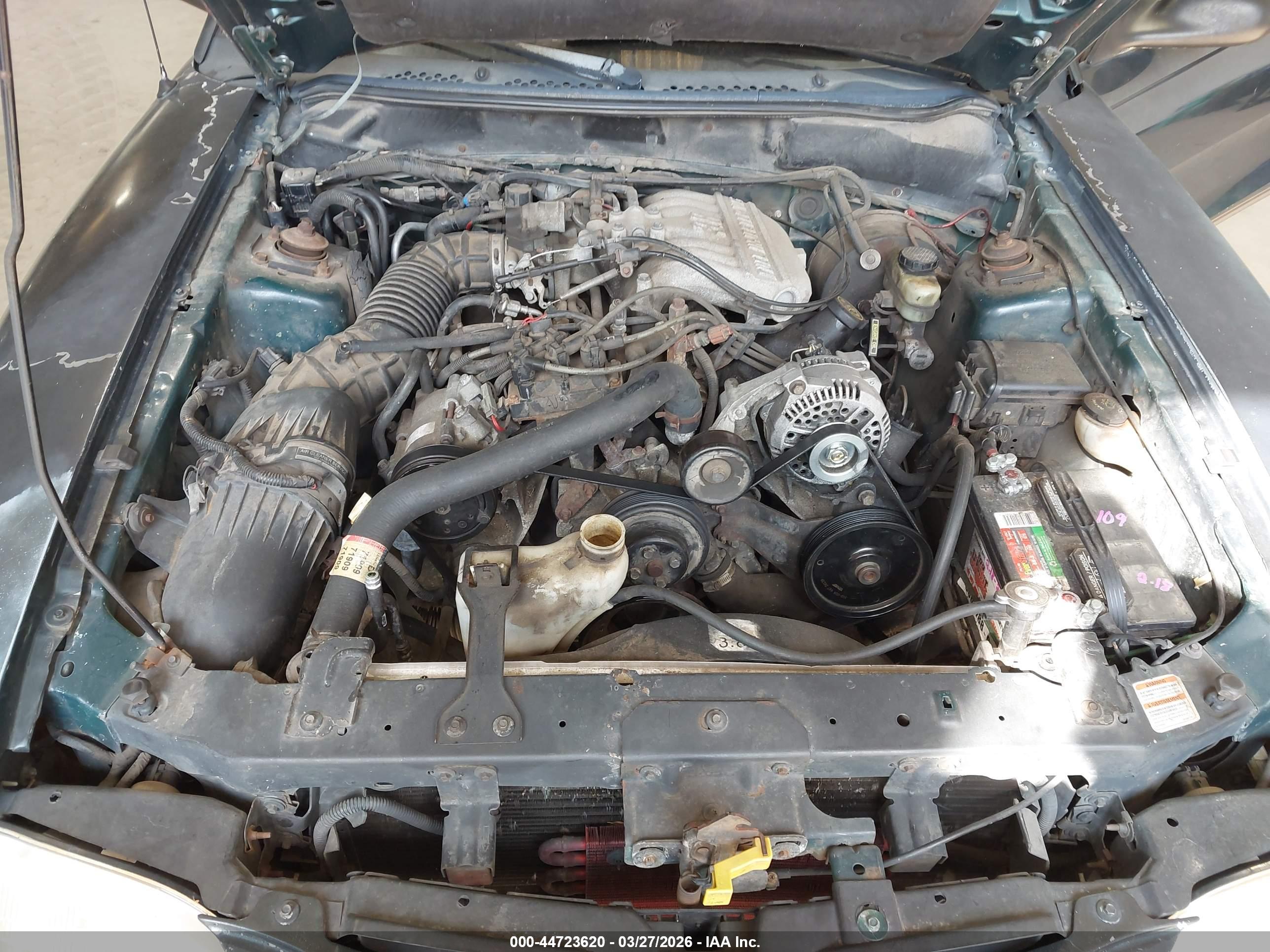 FORD MUSTANG image 10