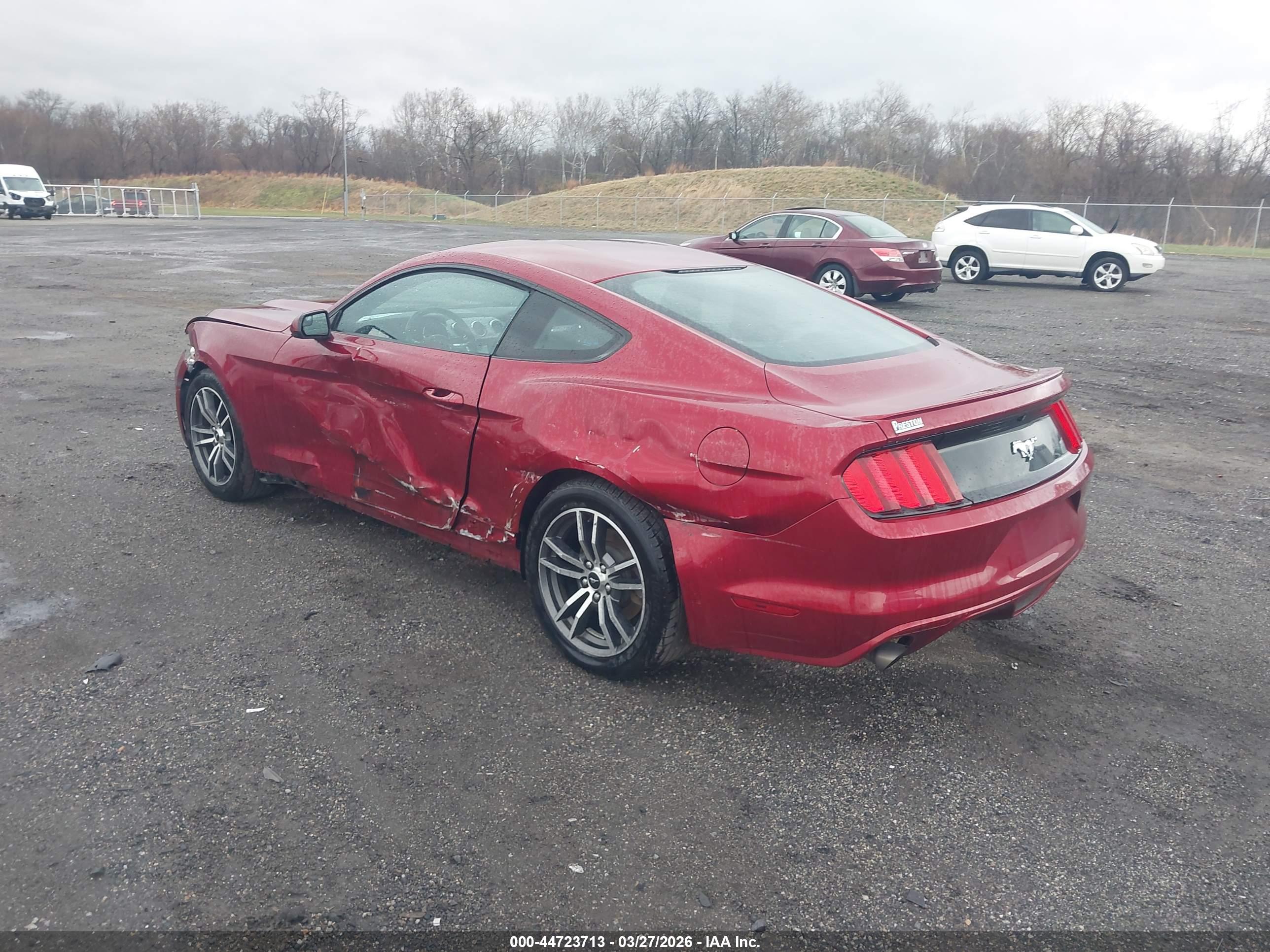 FORD MUSTANG image 3
