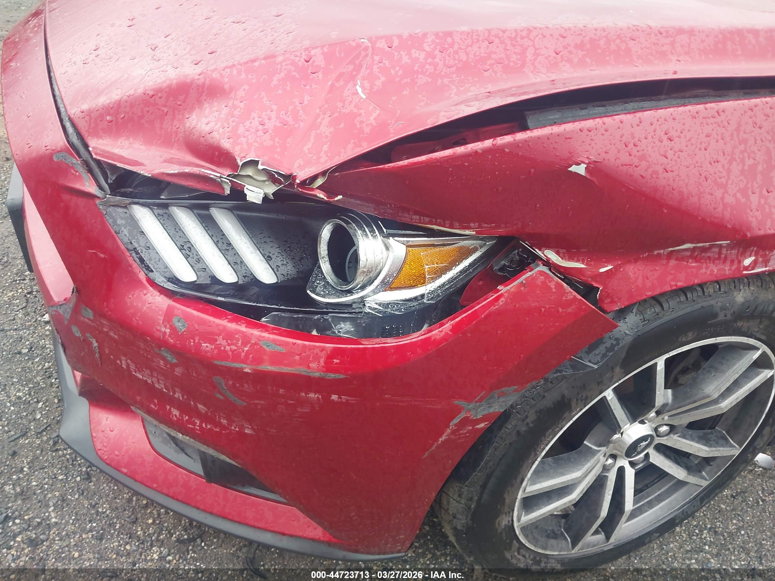FORD MUSTANG image 6