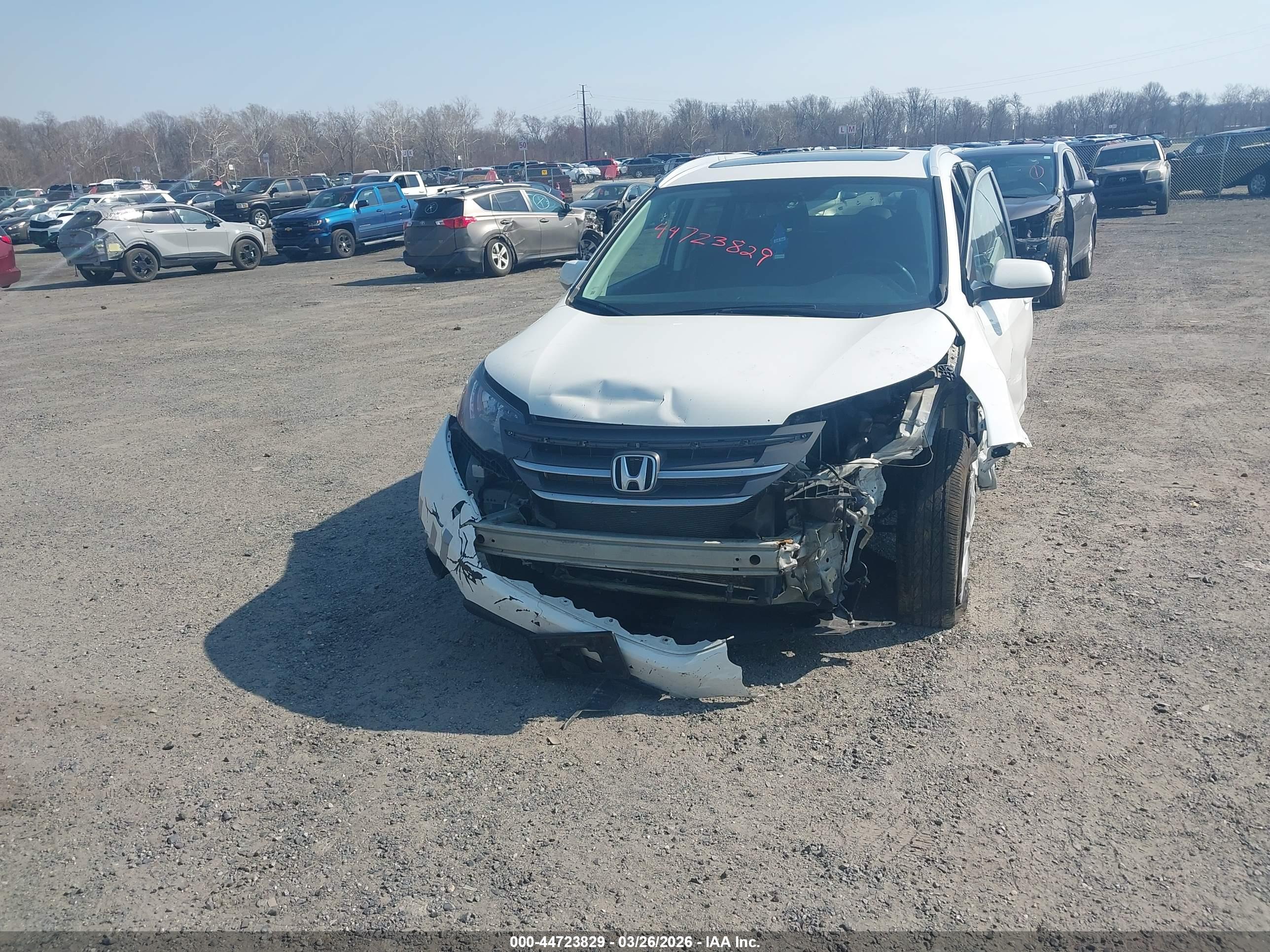 HONDA CR-V image 6
