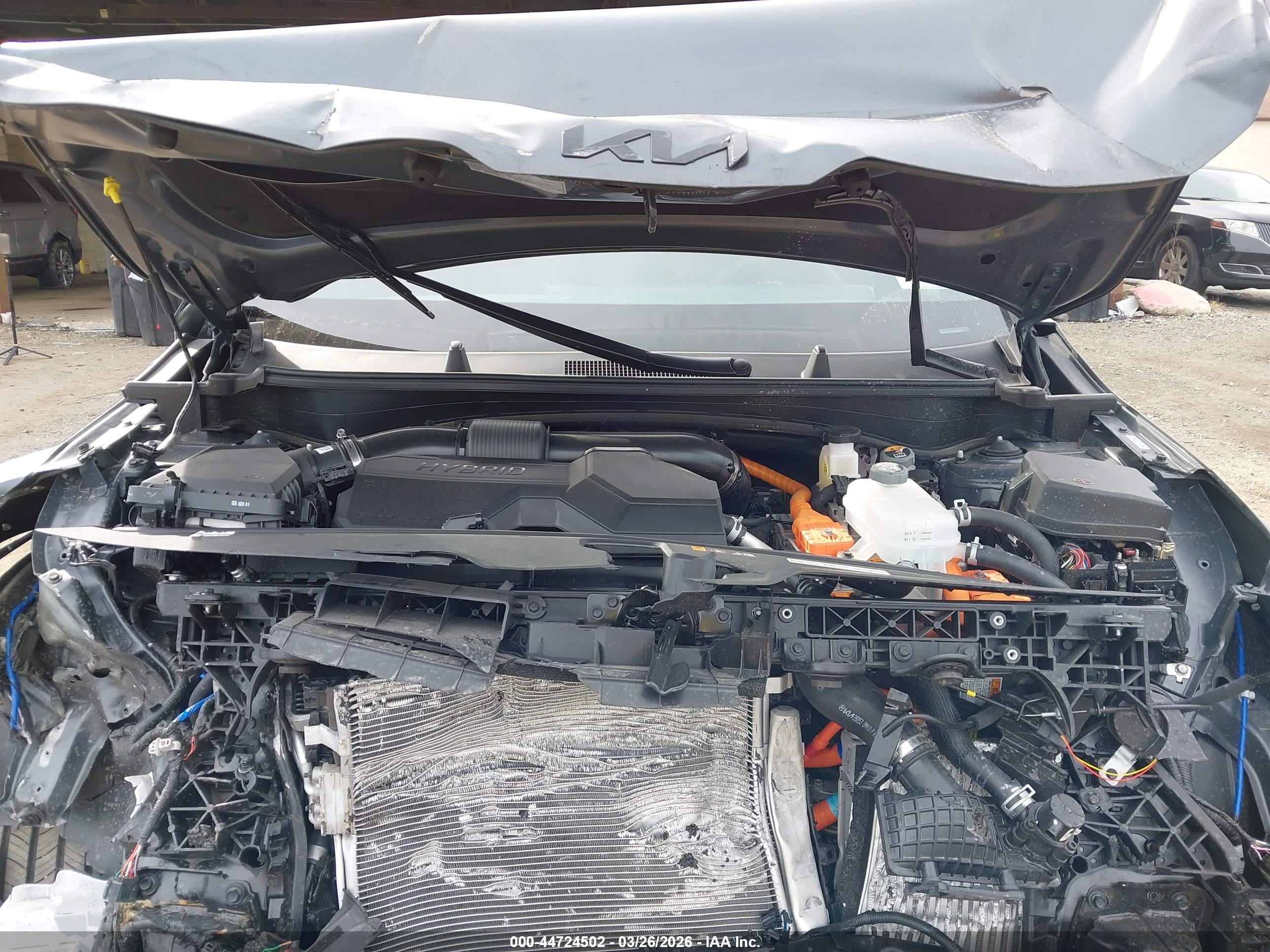KIA SPORTAGE image 10
