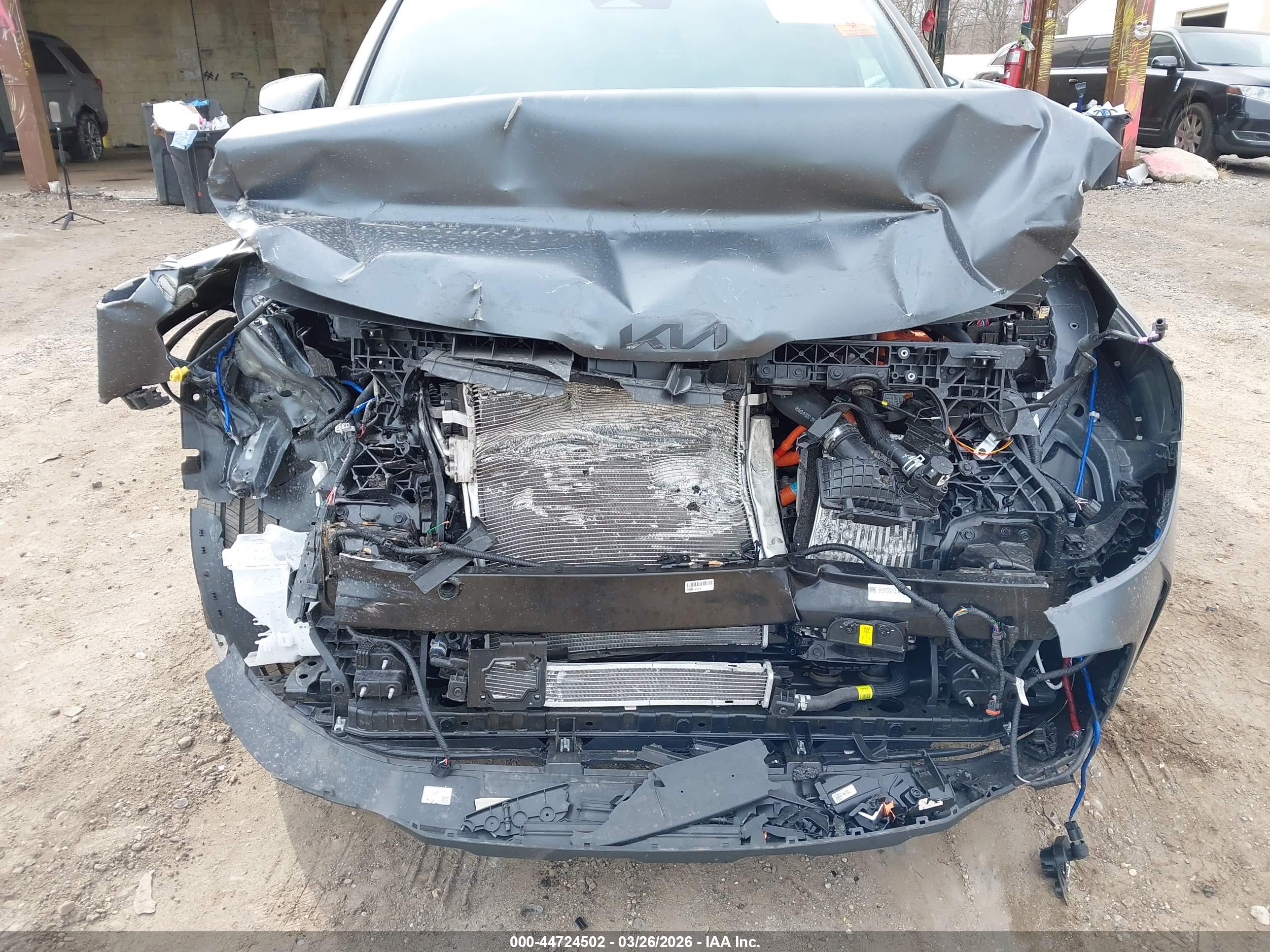 KIA SPORTAGE image 6
