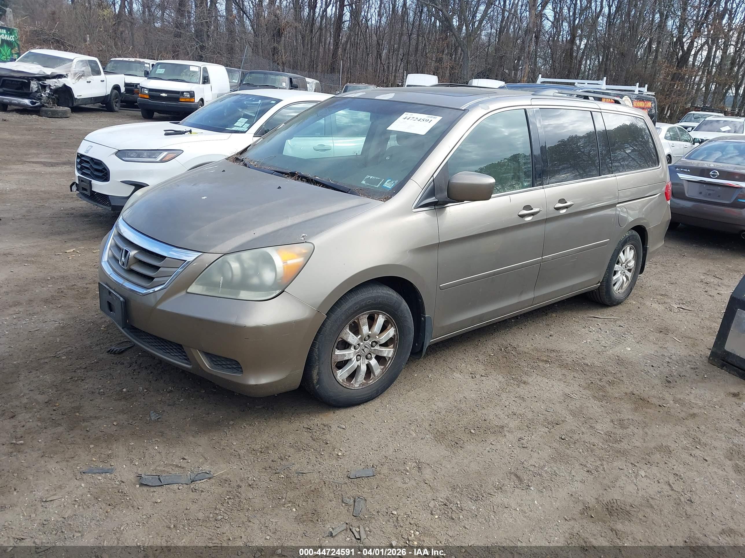 HONDA ODYSSEY image 2