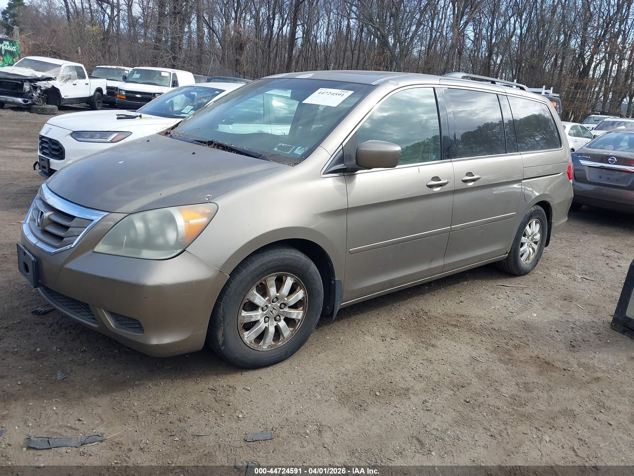 HONDA ODYSSEY image 6