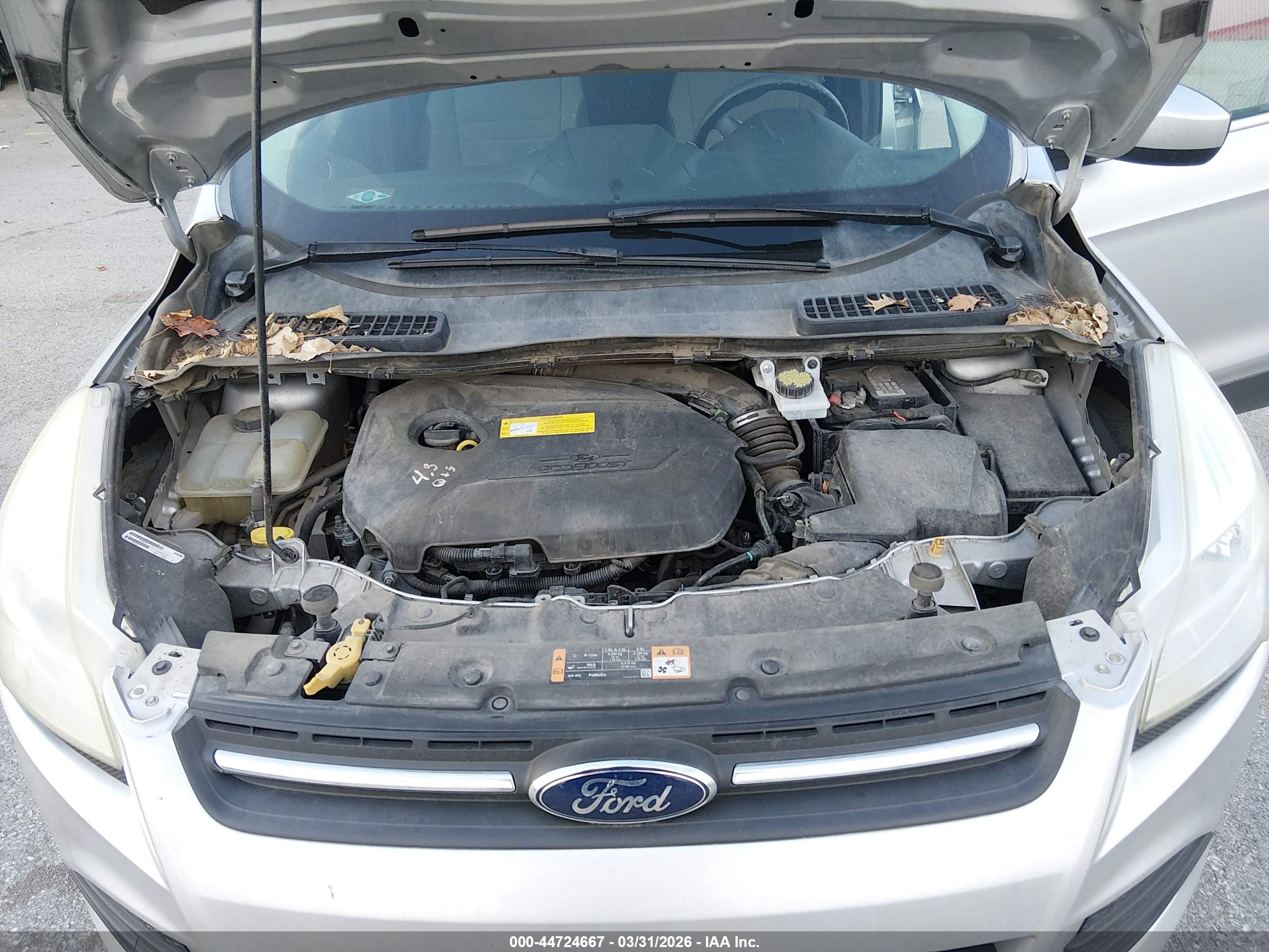 FORD ESCAPE image 10