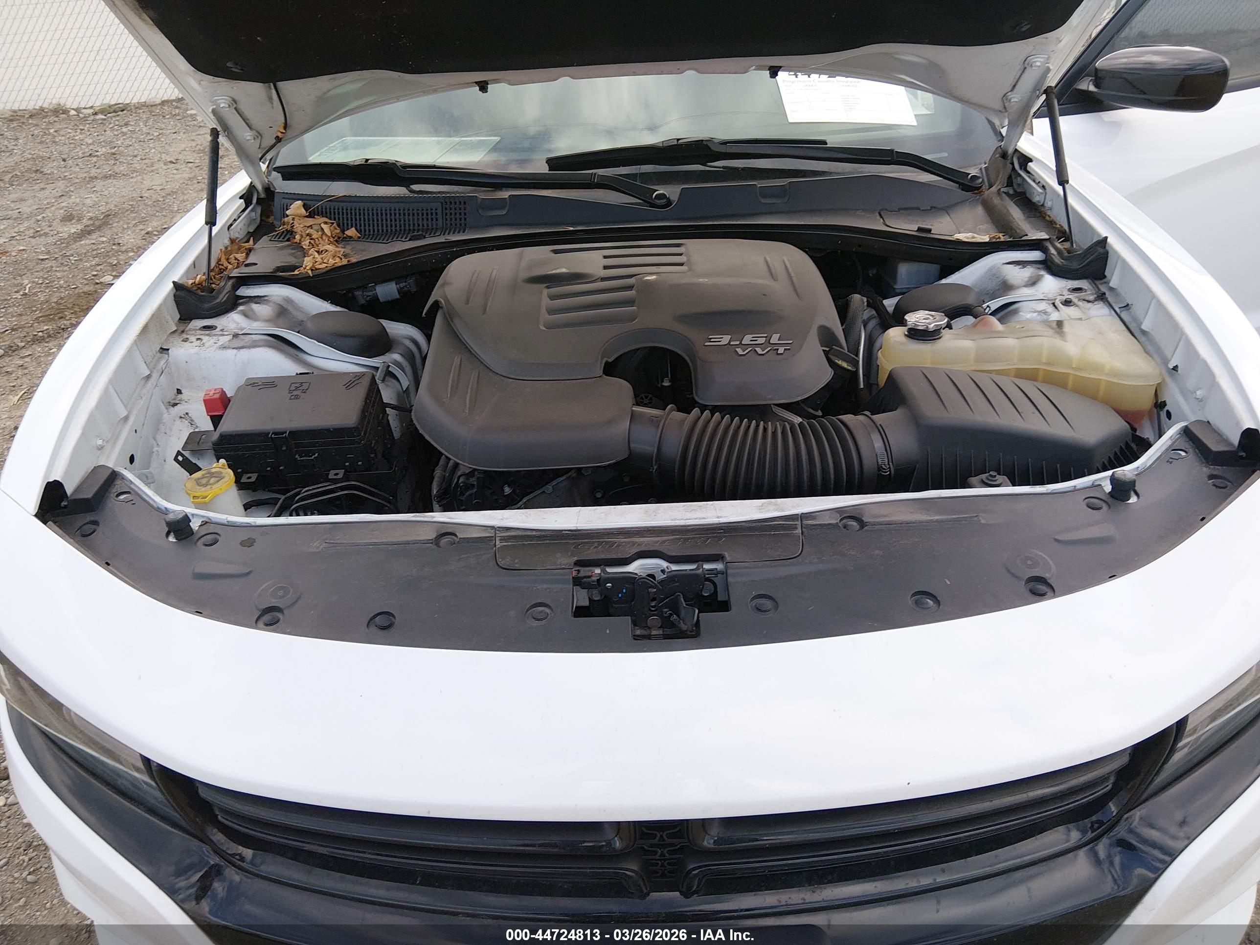 DODGE CHARGER image 10