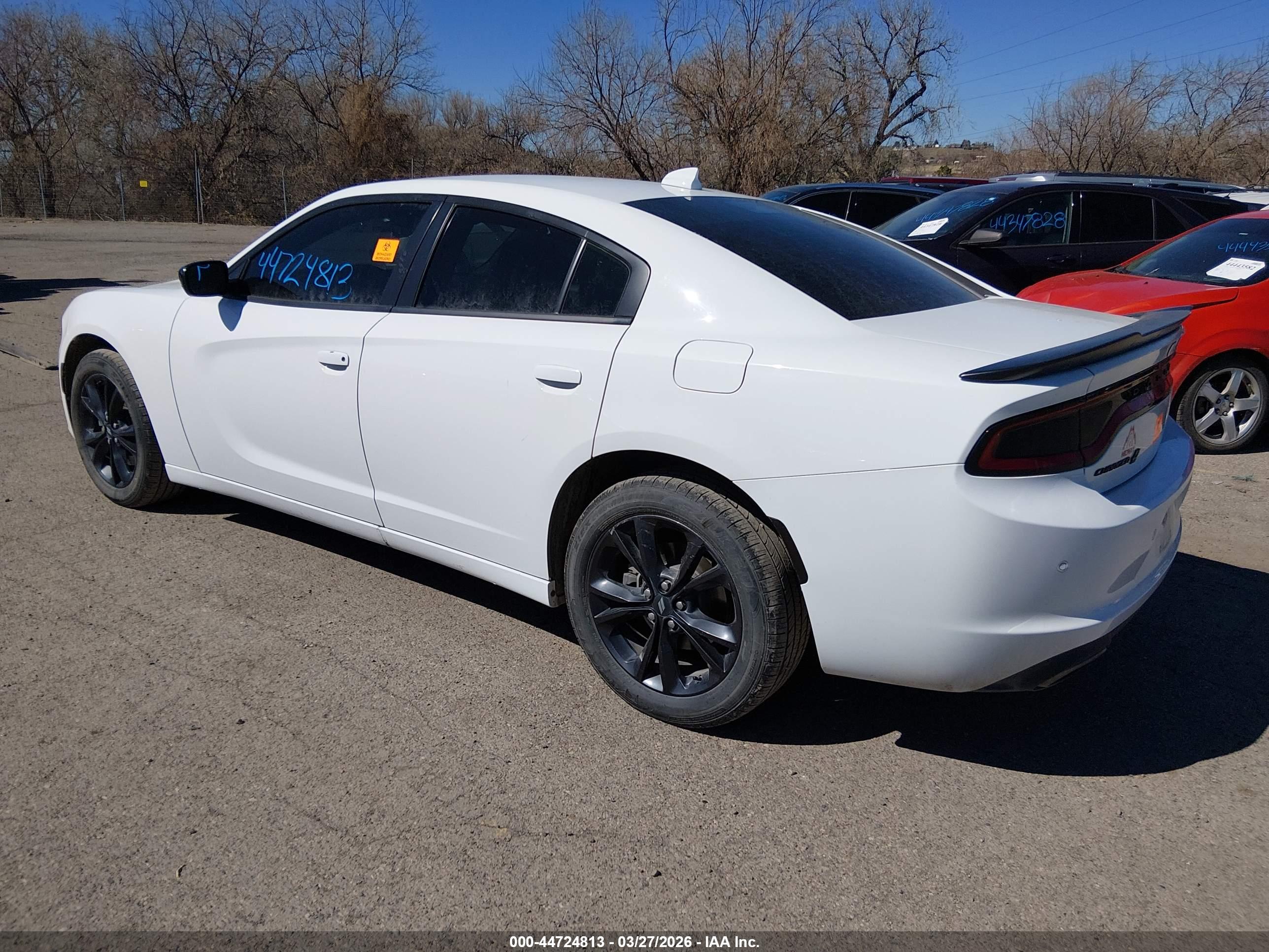 DODGE CHARGER image 3