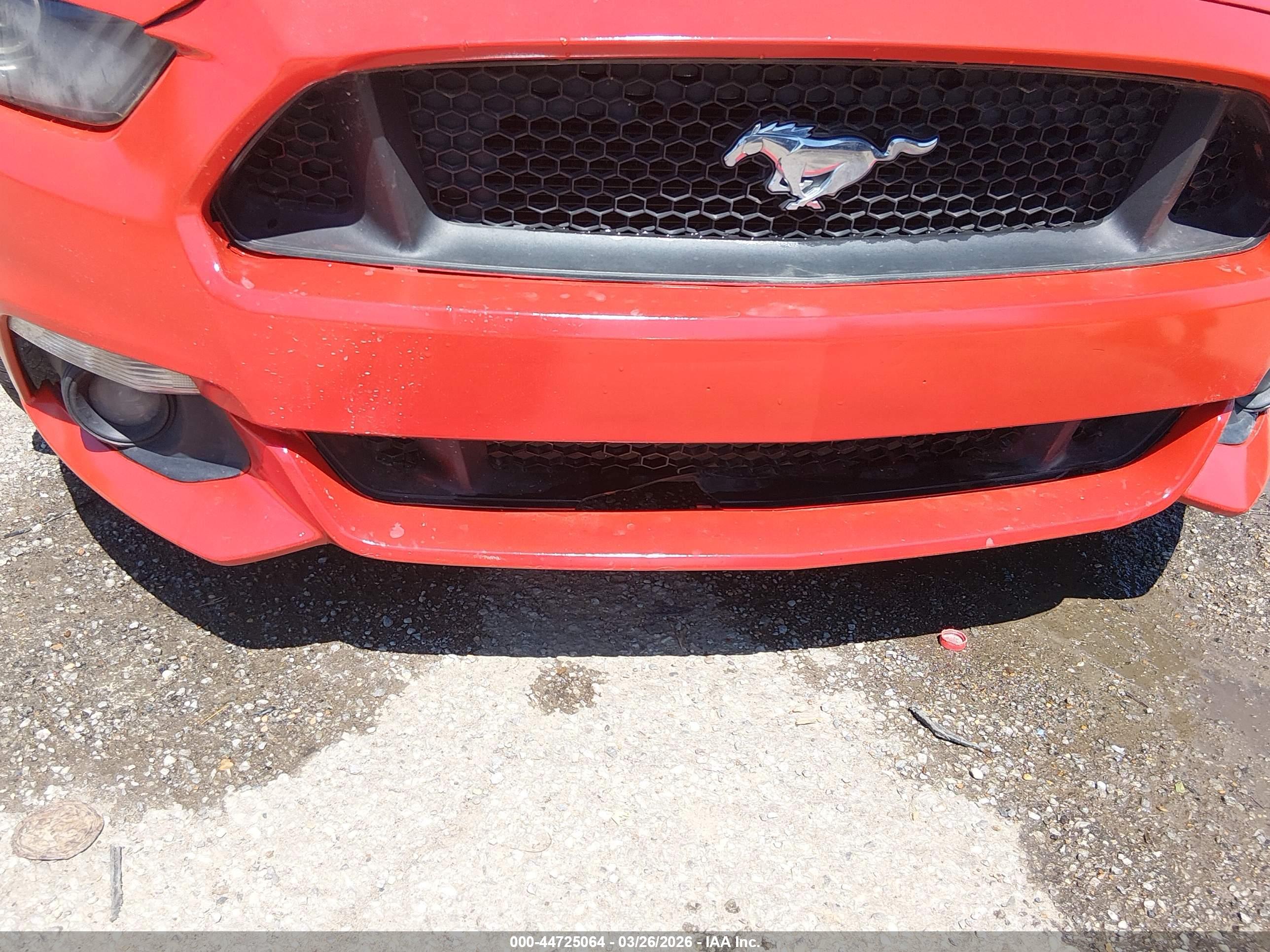 FORD MUSTANG image 6