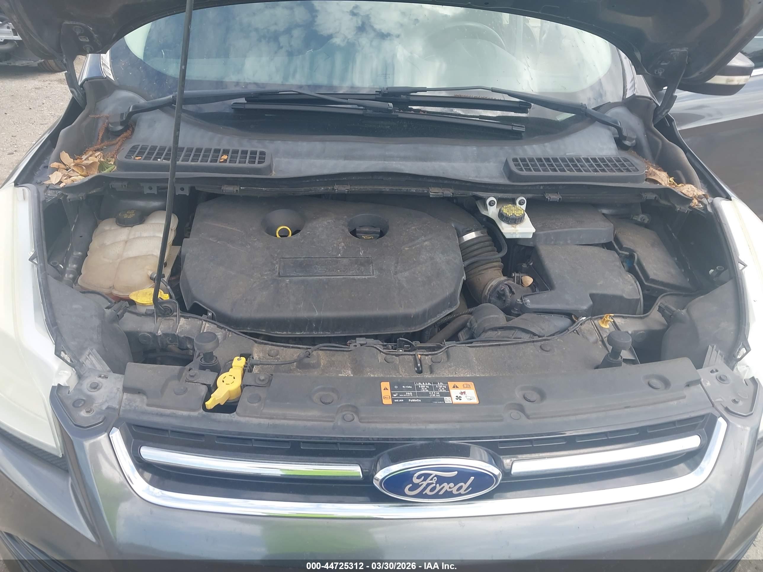 FORD ESCAPE image 10