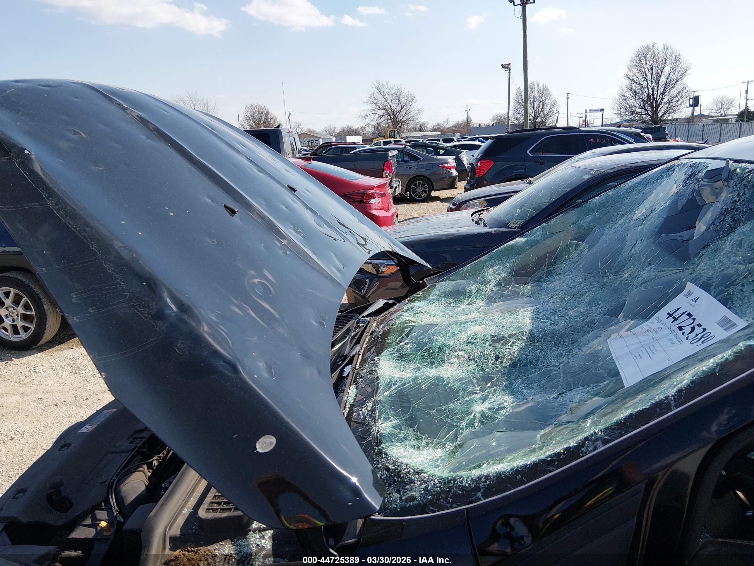 FORD ESCAPE image 6