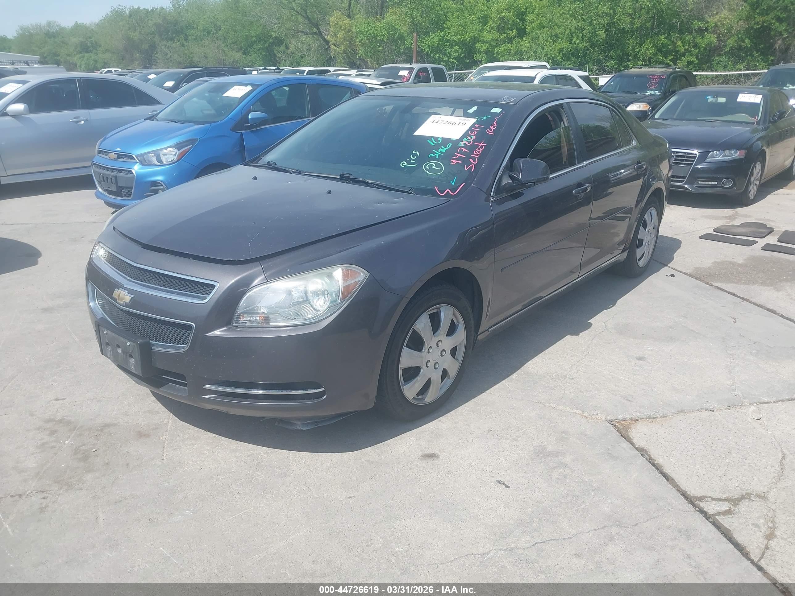 CHEVROLET MALIBU image 2