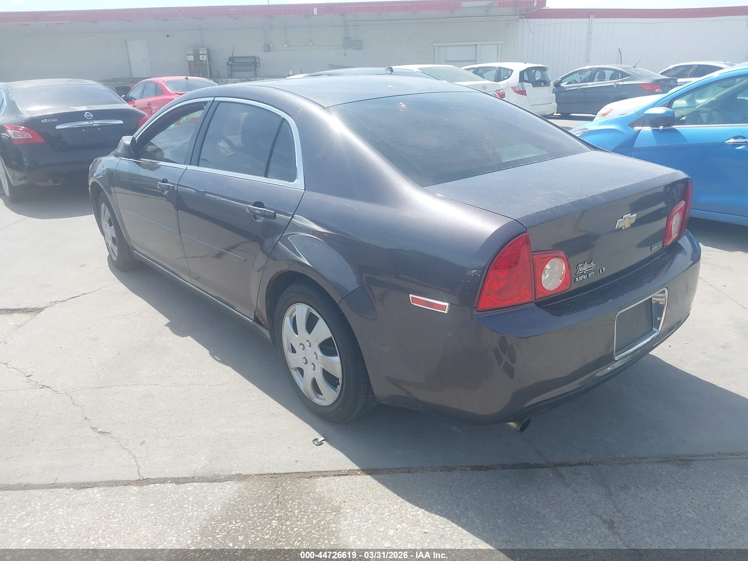 CHEVROLET MALIBU image 3