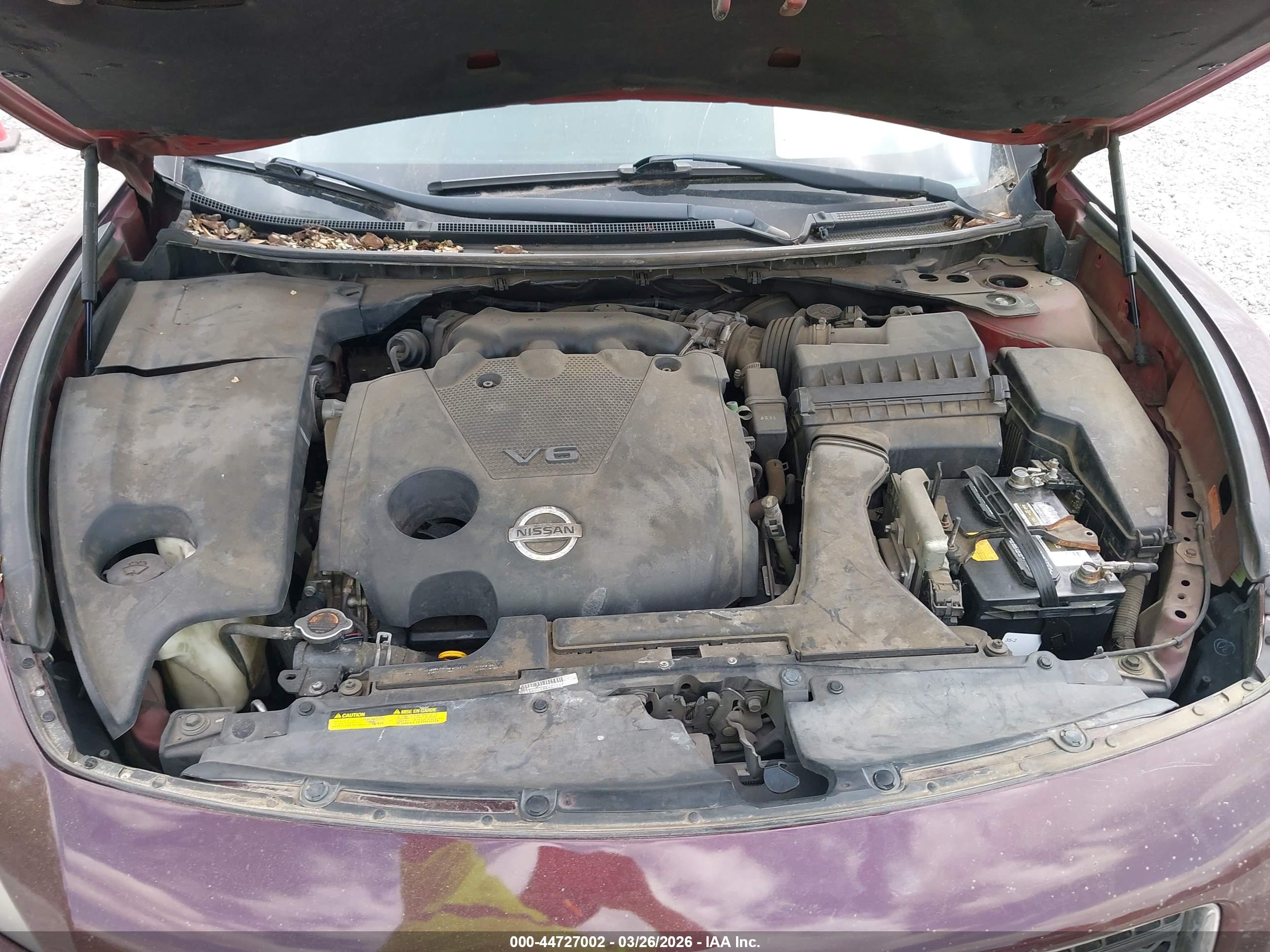 NISSAN MAXIMA image 10