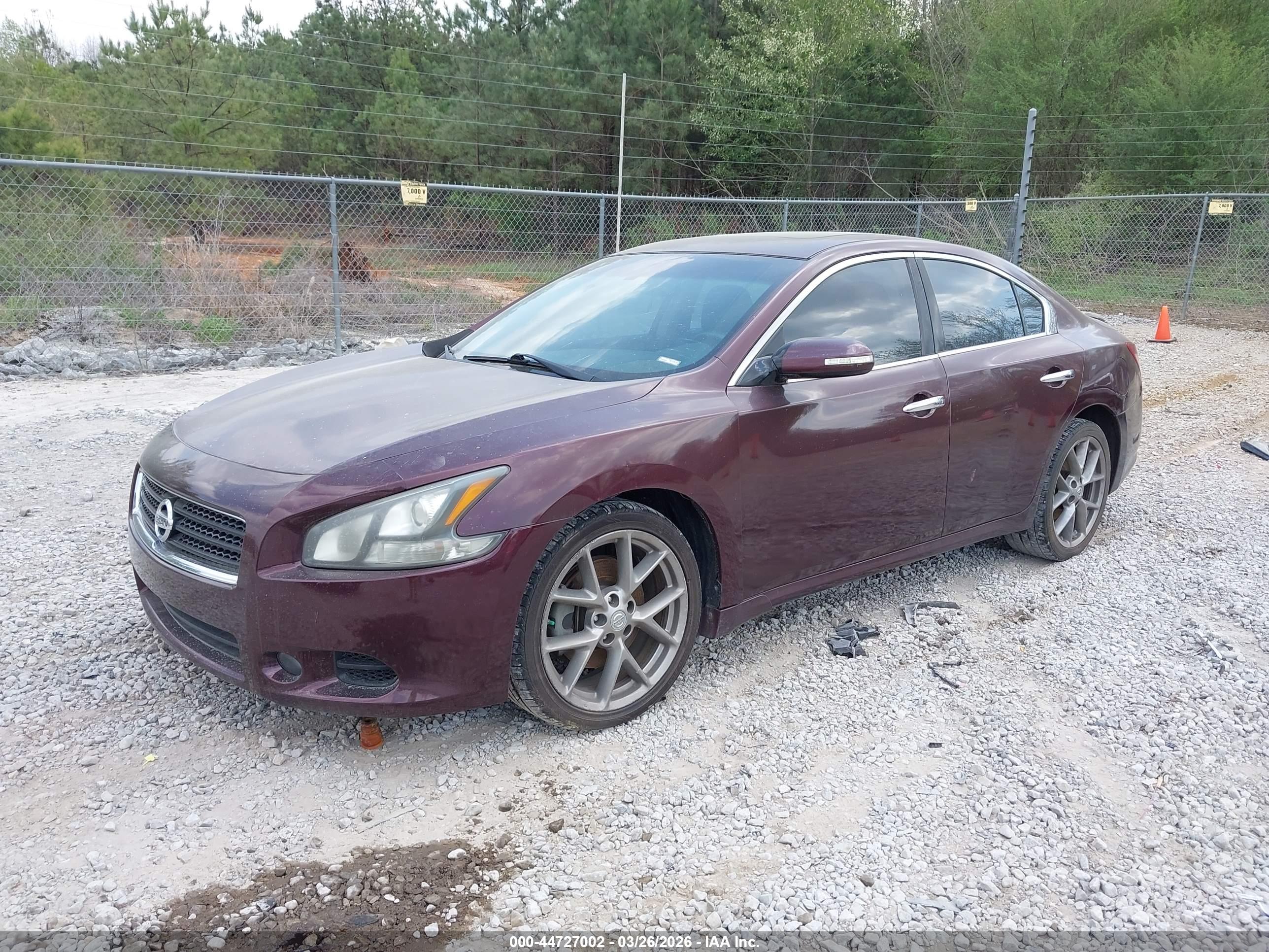 NISSAN MAXIMA image 2