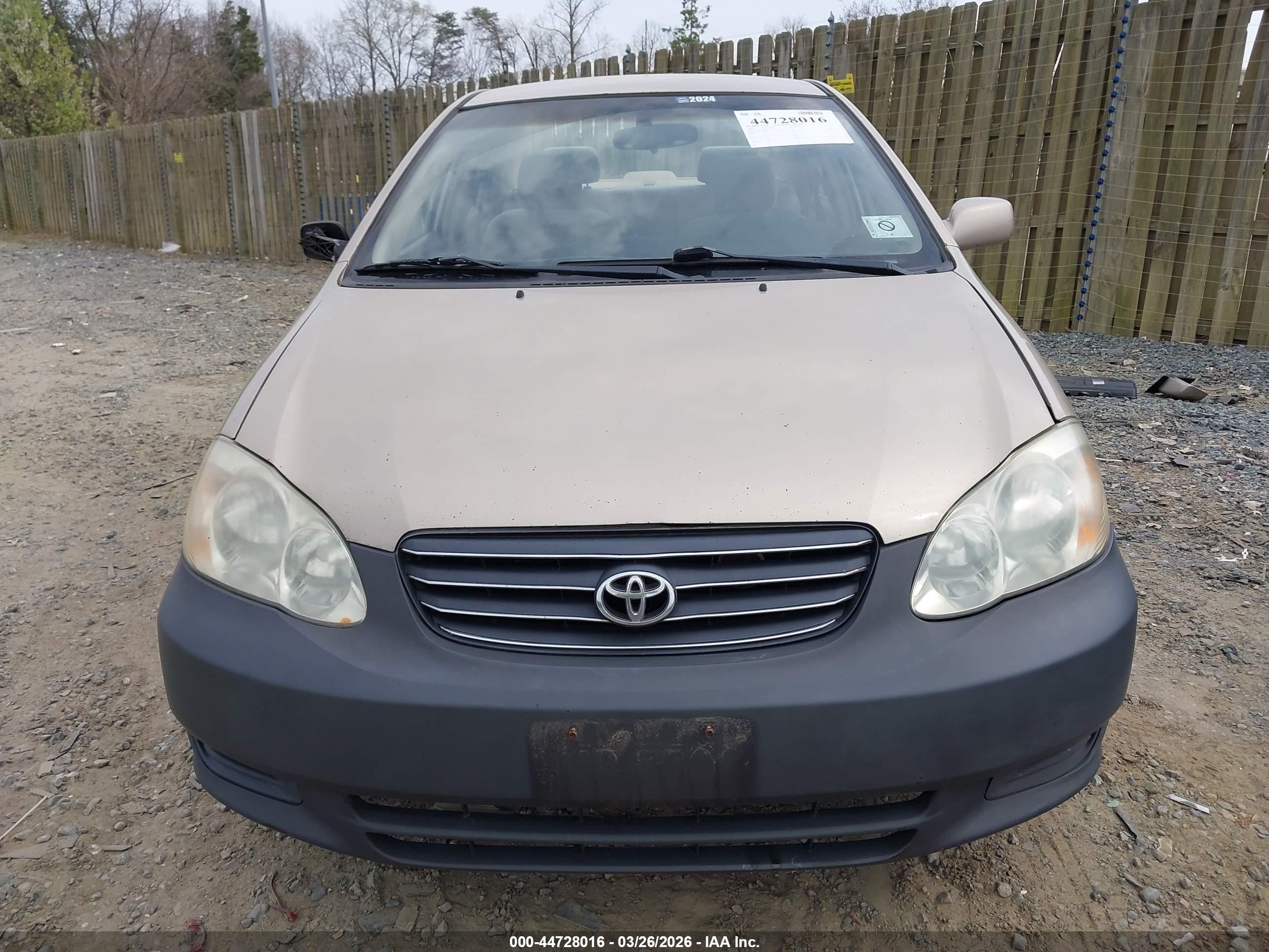 TOYOTA COROLLA image 6