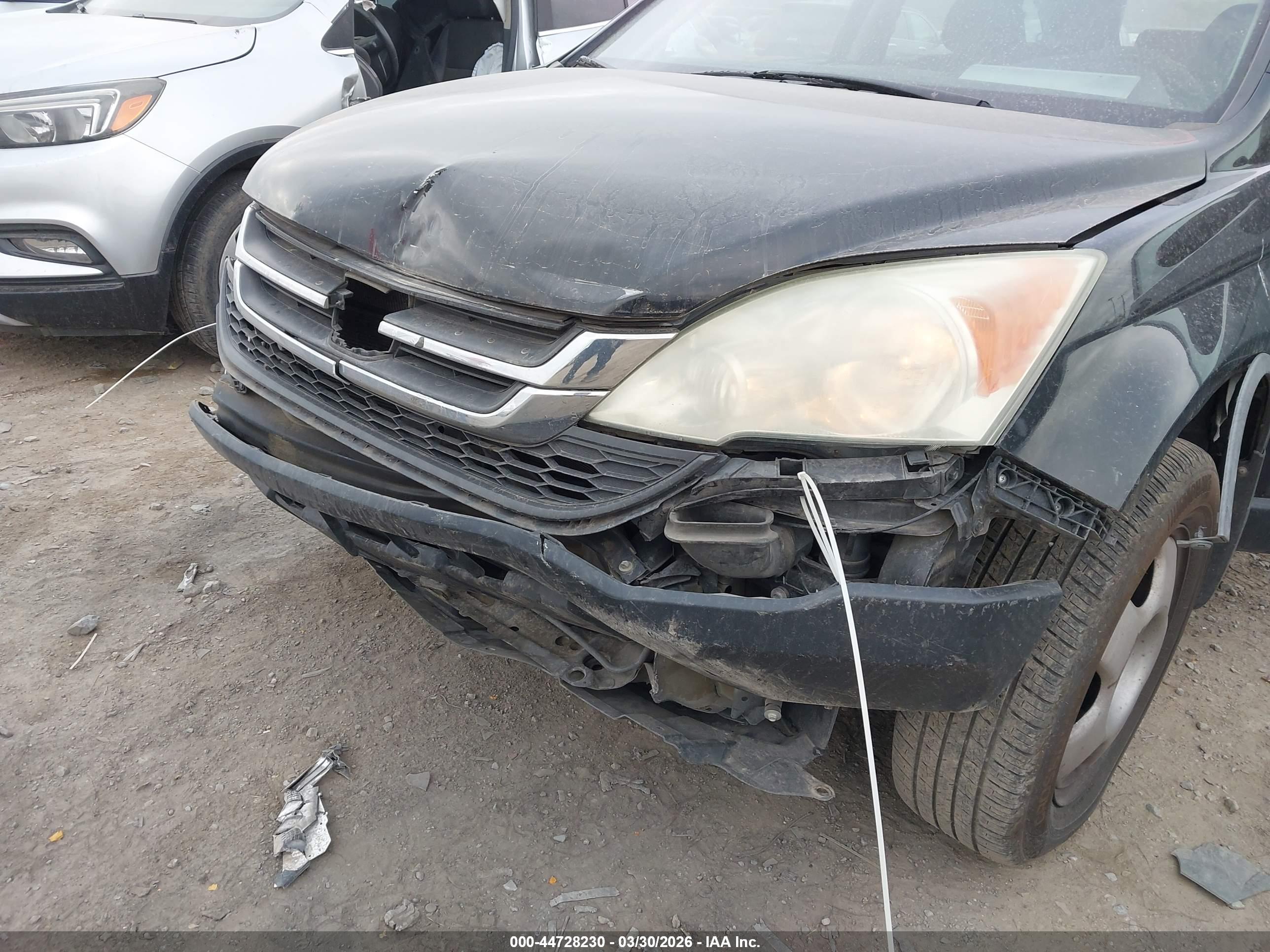 HONDA CR-V image 6