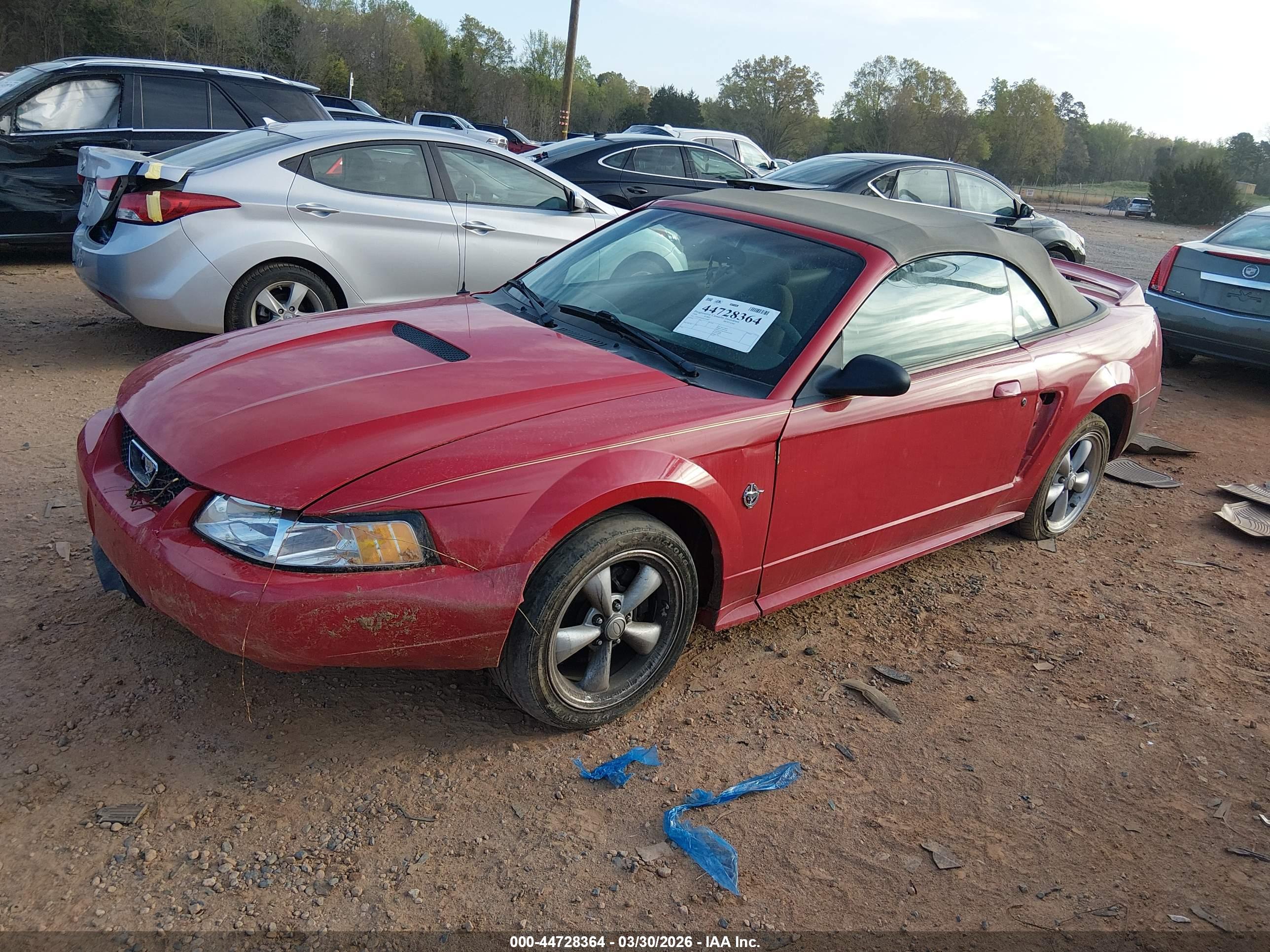 FORD MUSTANG image 2