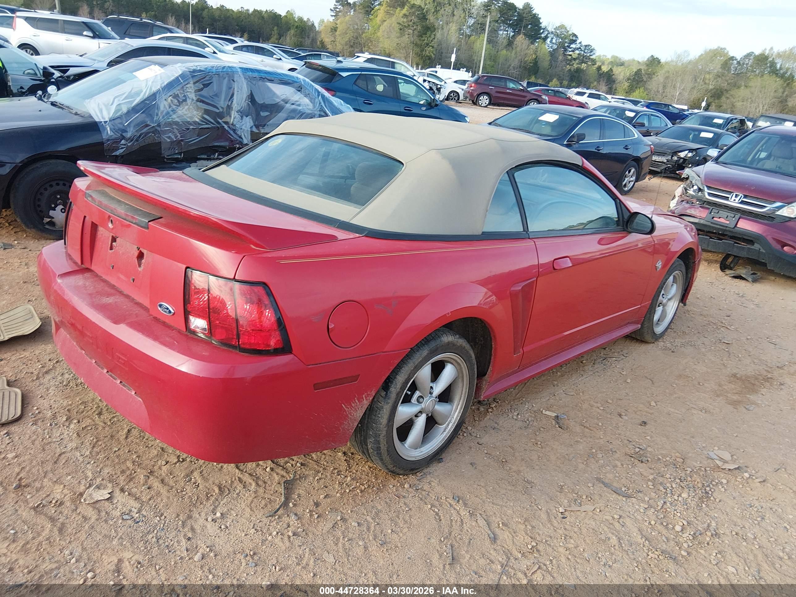 FORD MUSTANG image 4
