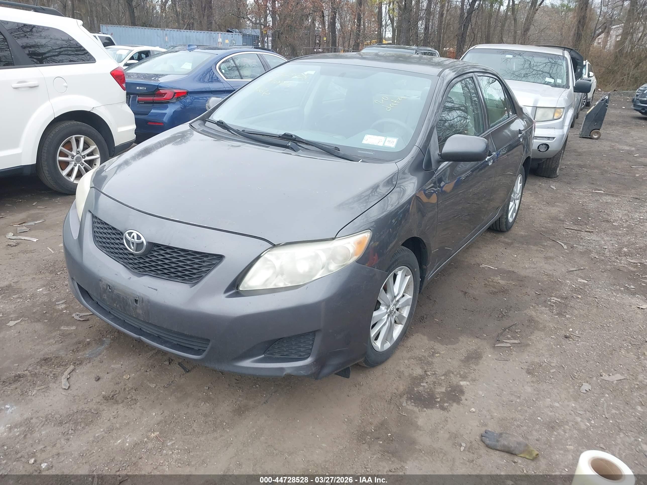 TOYOTA COROLLA image 6