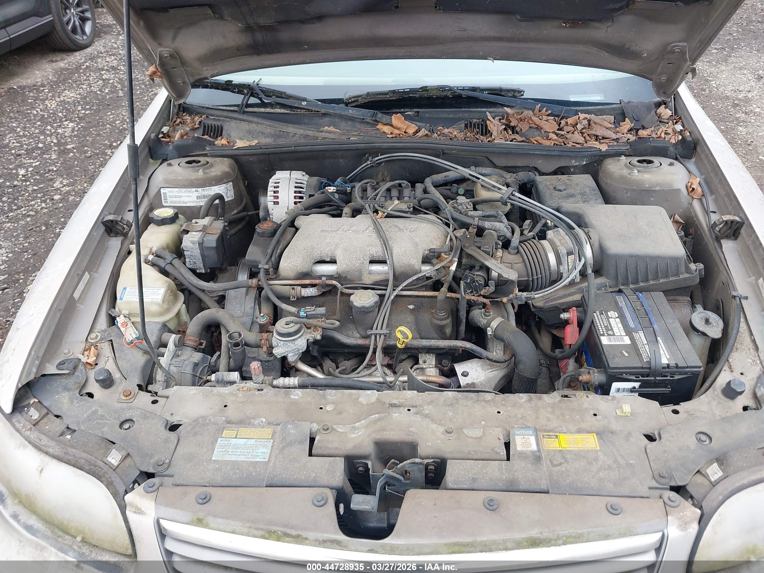 CHEVROLET MALIBU image 10