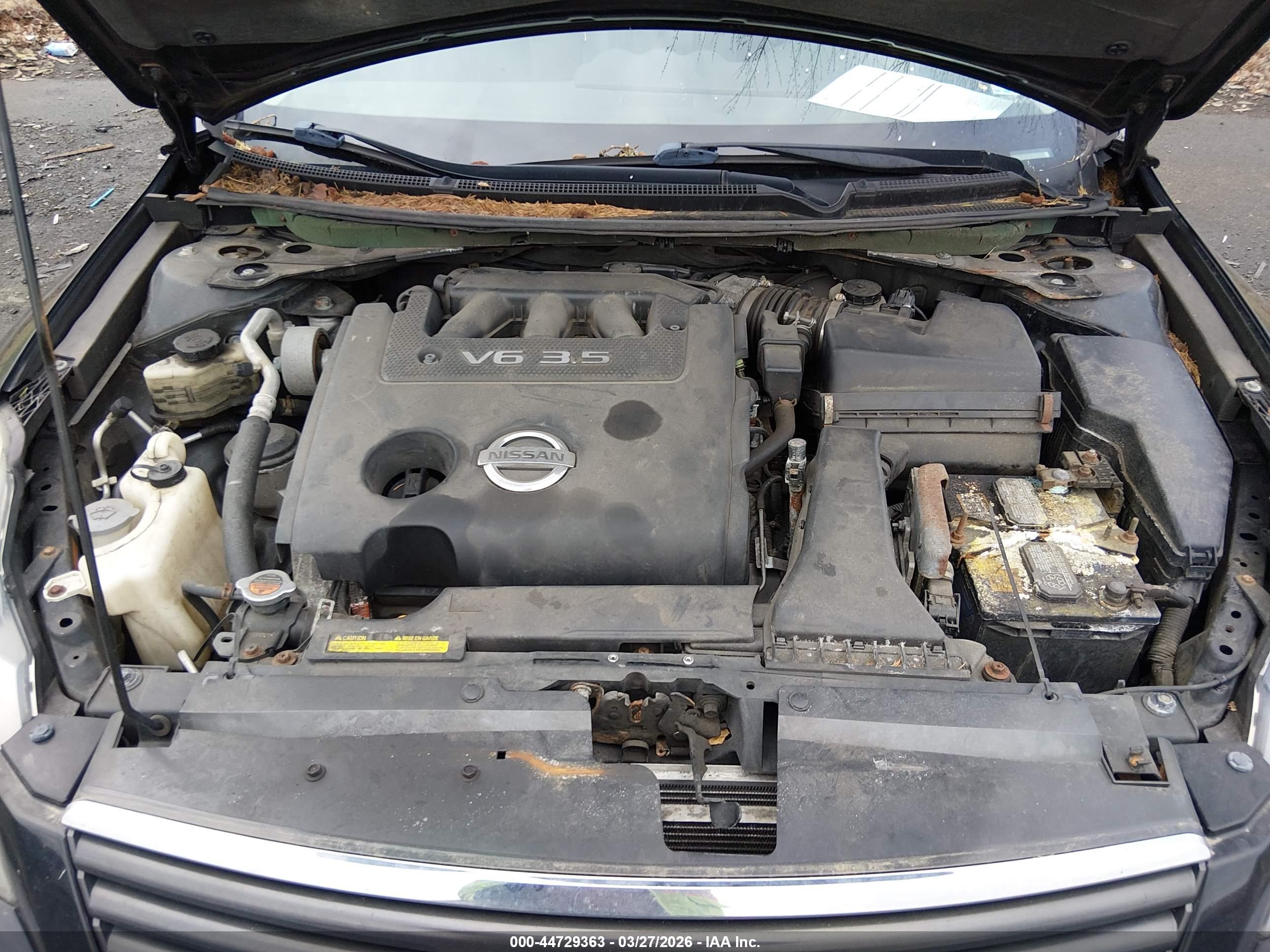 NISSAN ALTIMA image 10