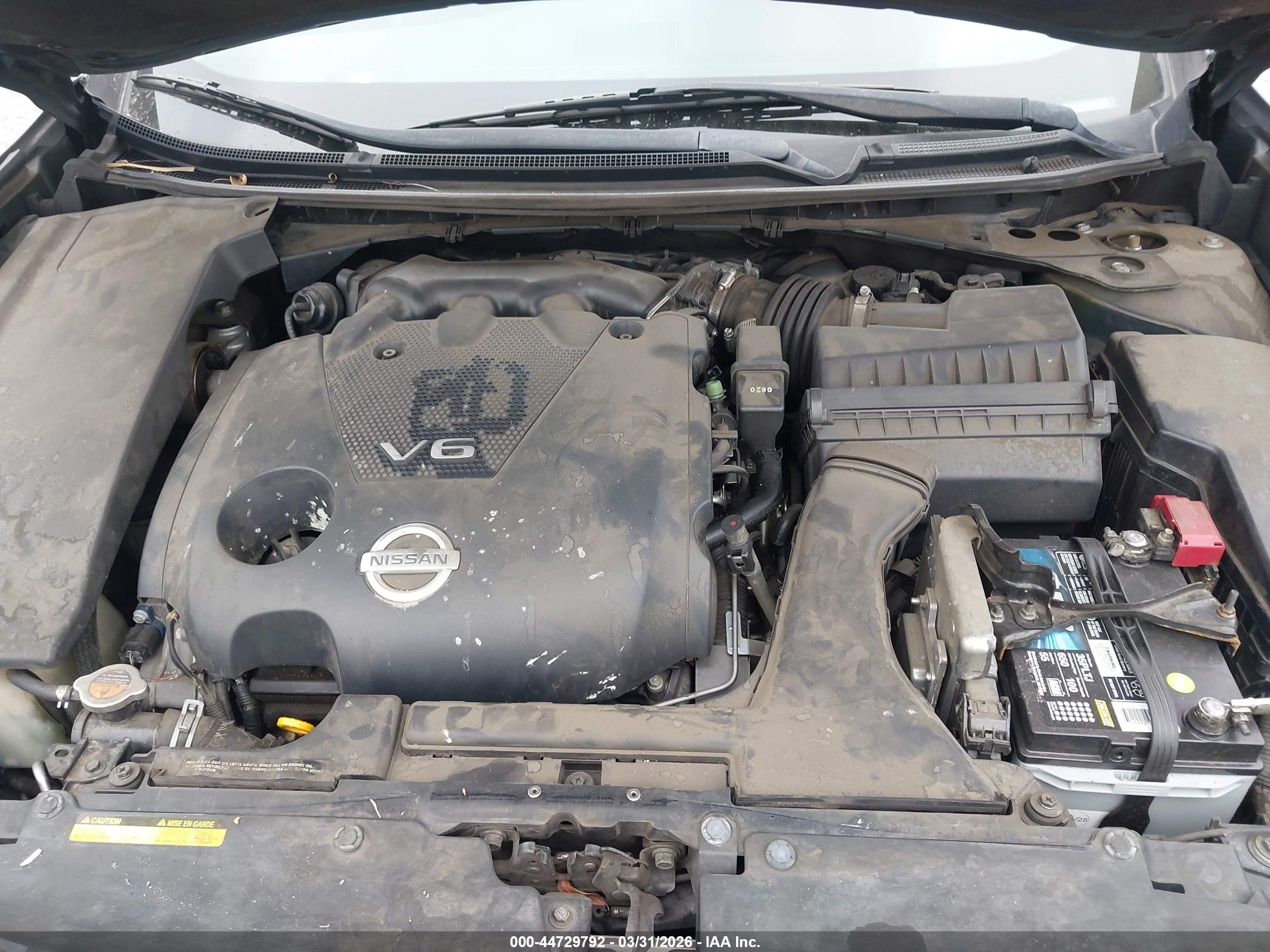 NISSAN MAXIMA image 10