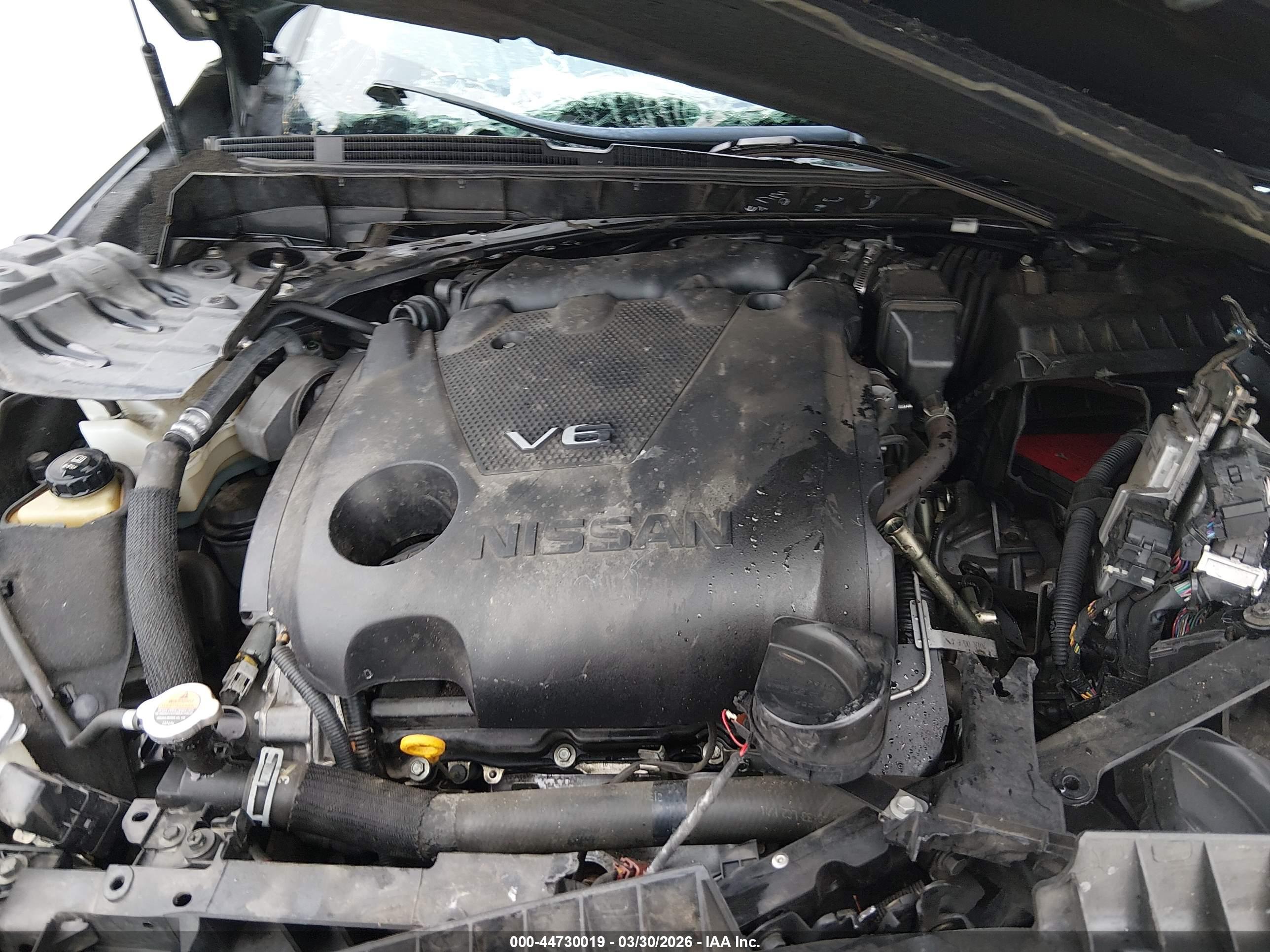 NISSAN MAXIMA image 10