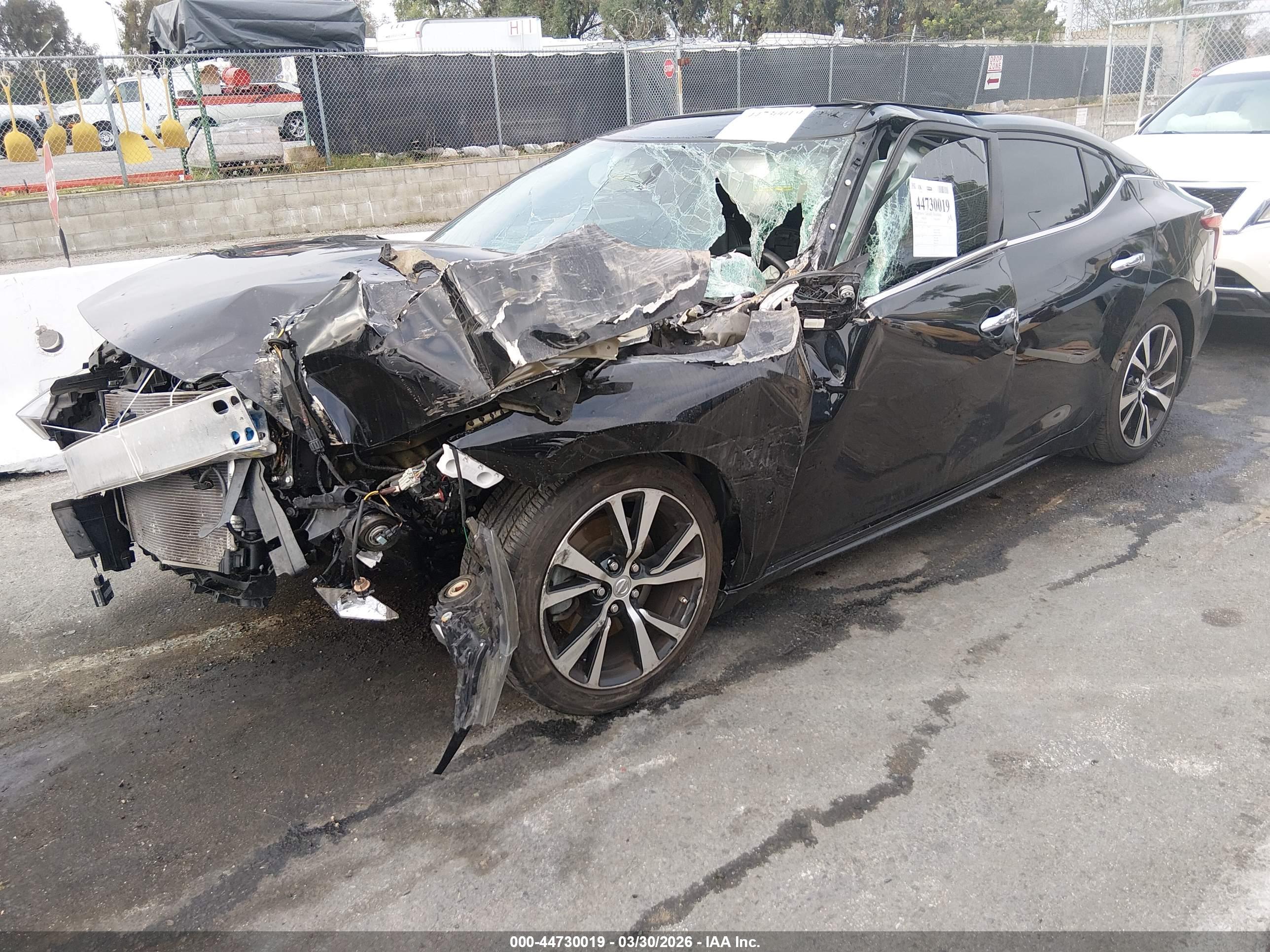 NISSAN MAXIMA image 2