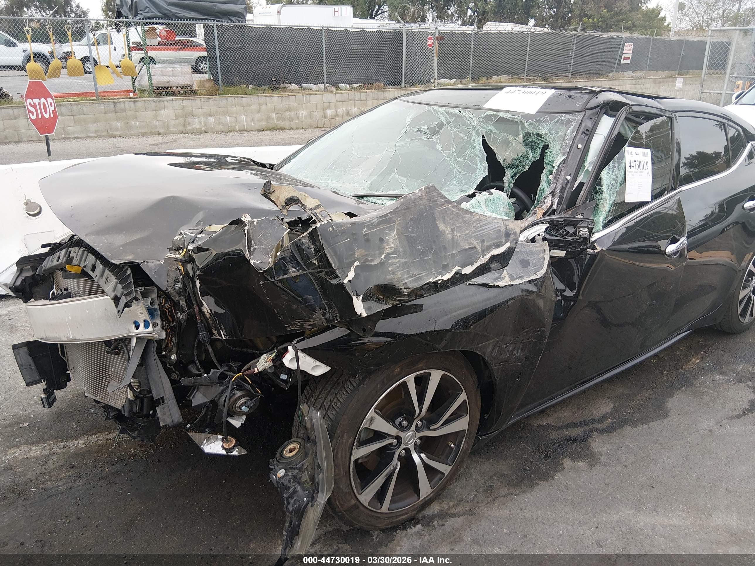 NISSAN MAXIMA image 6
