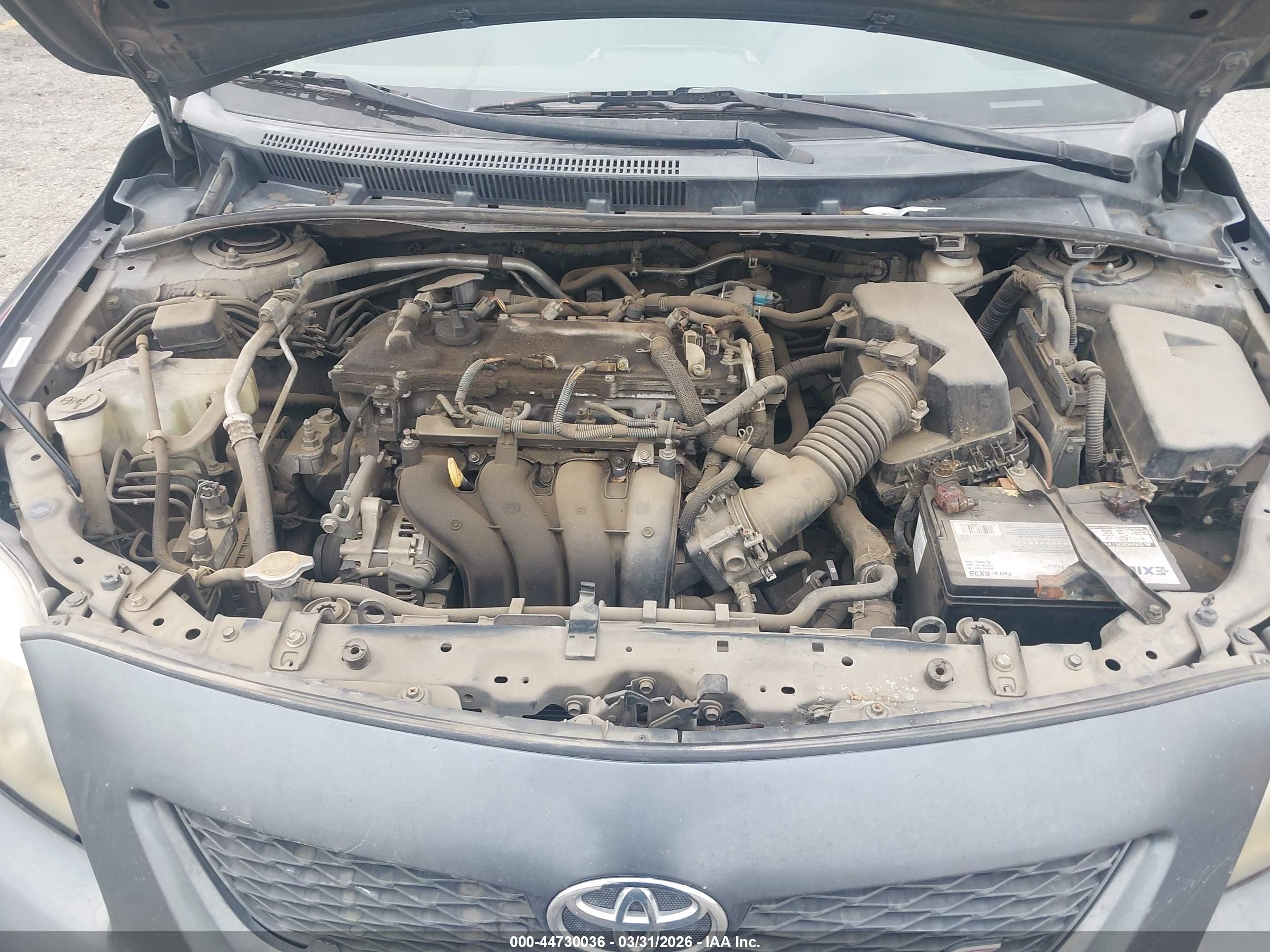 TOYOTA COROLLA image 10