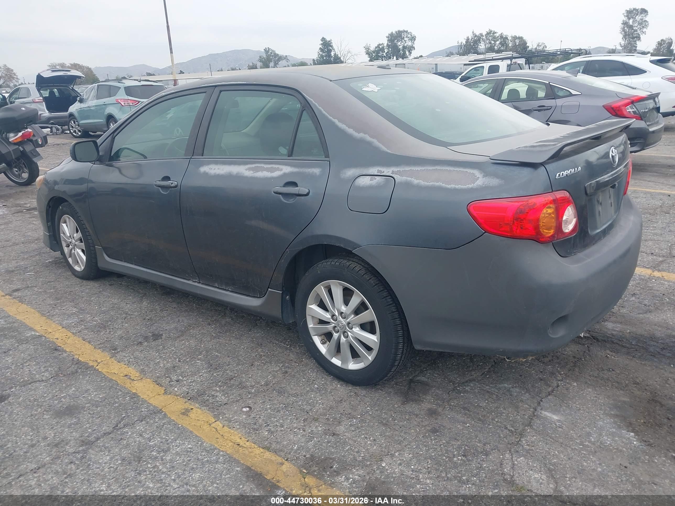 TOYOTA COROLLA image 3
