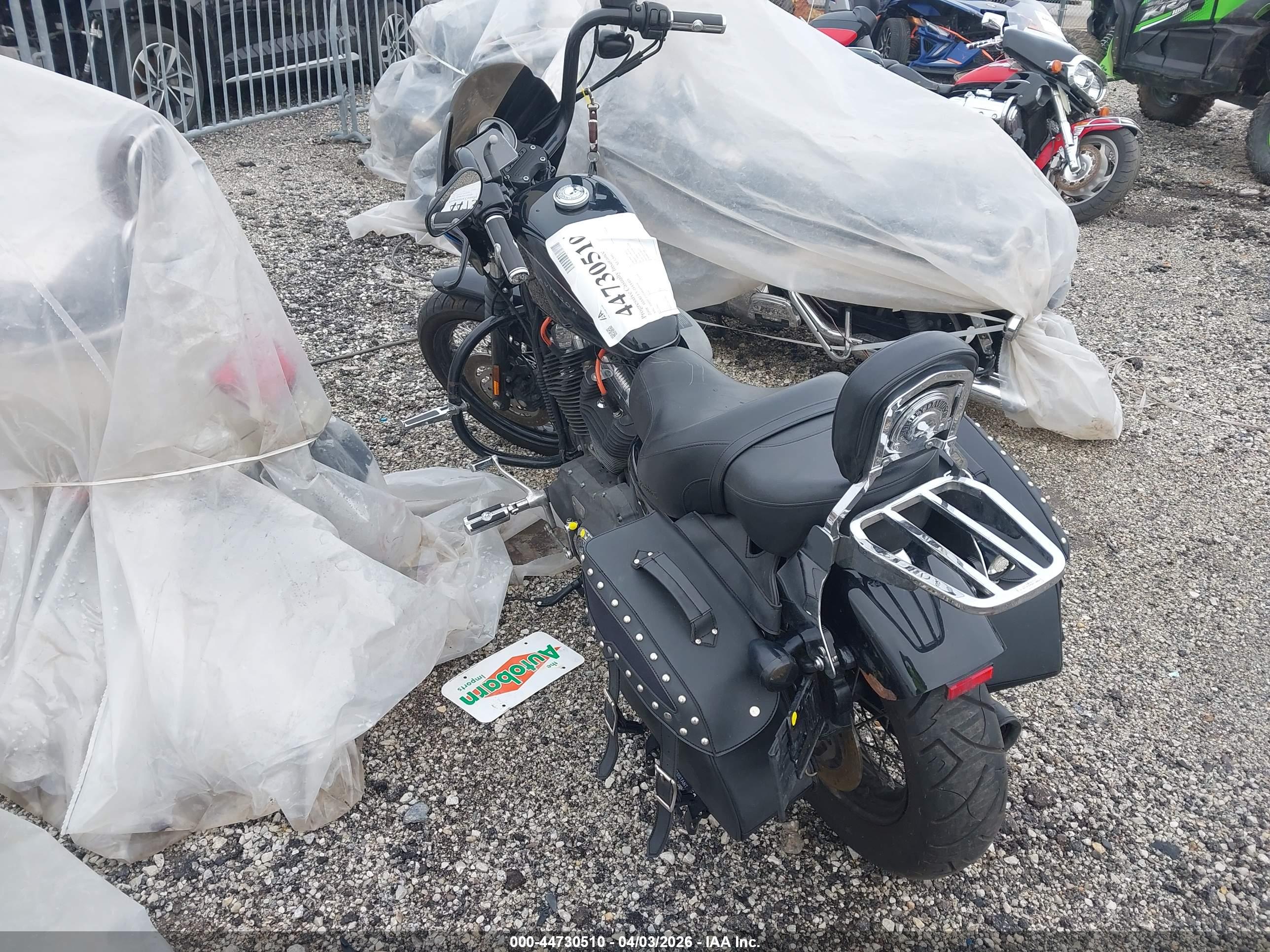 HARLEY-DAVIDSON XL1200 image 3