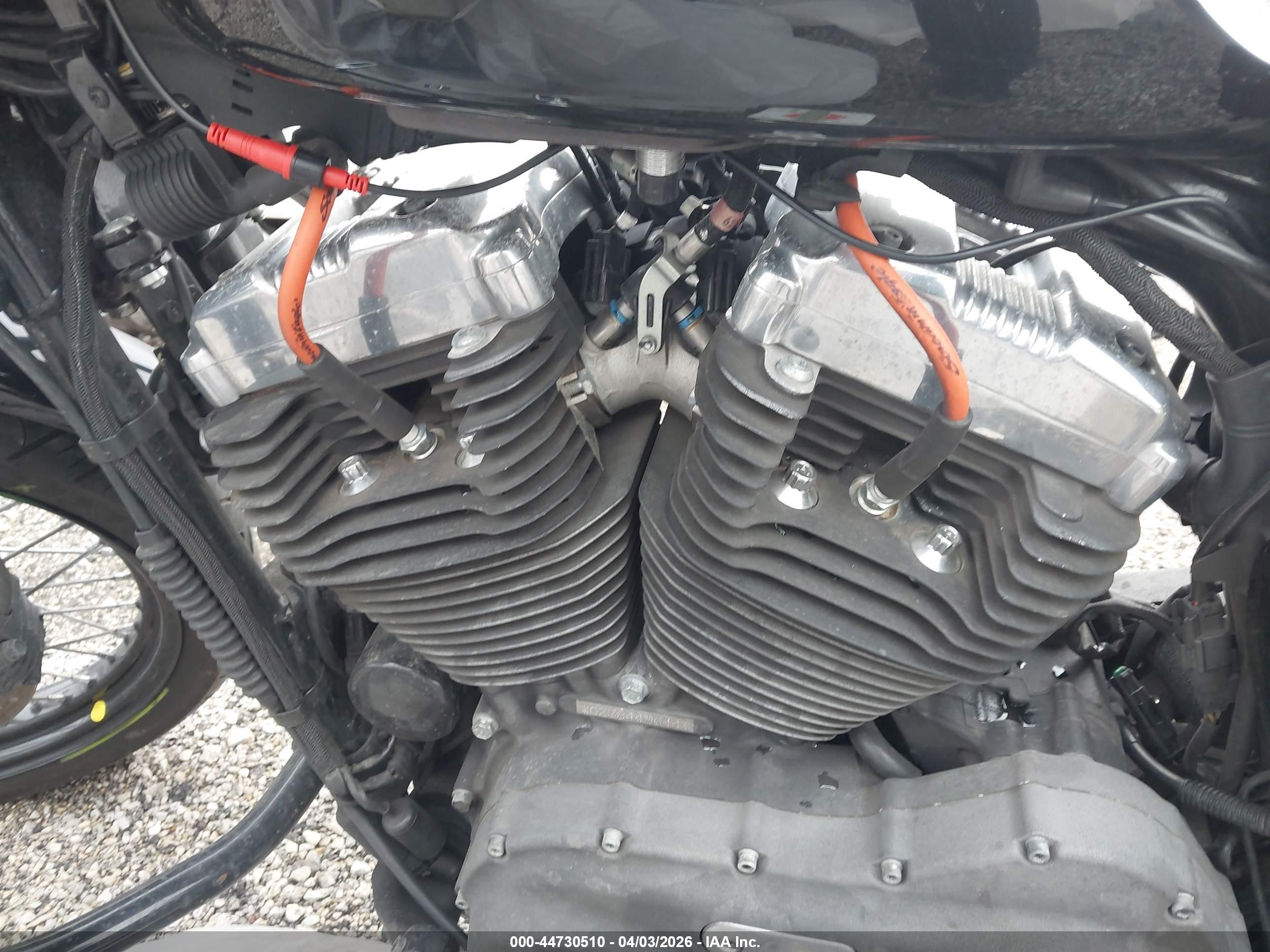 HARLEY-DAVIDSON XL1200 image 9
