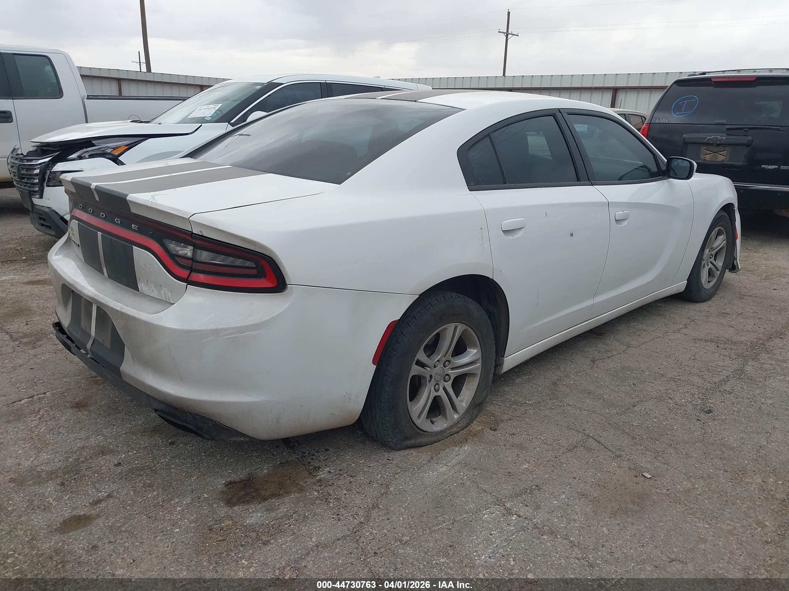 DODGE CHARGER image 4