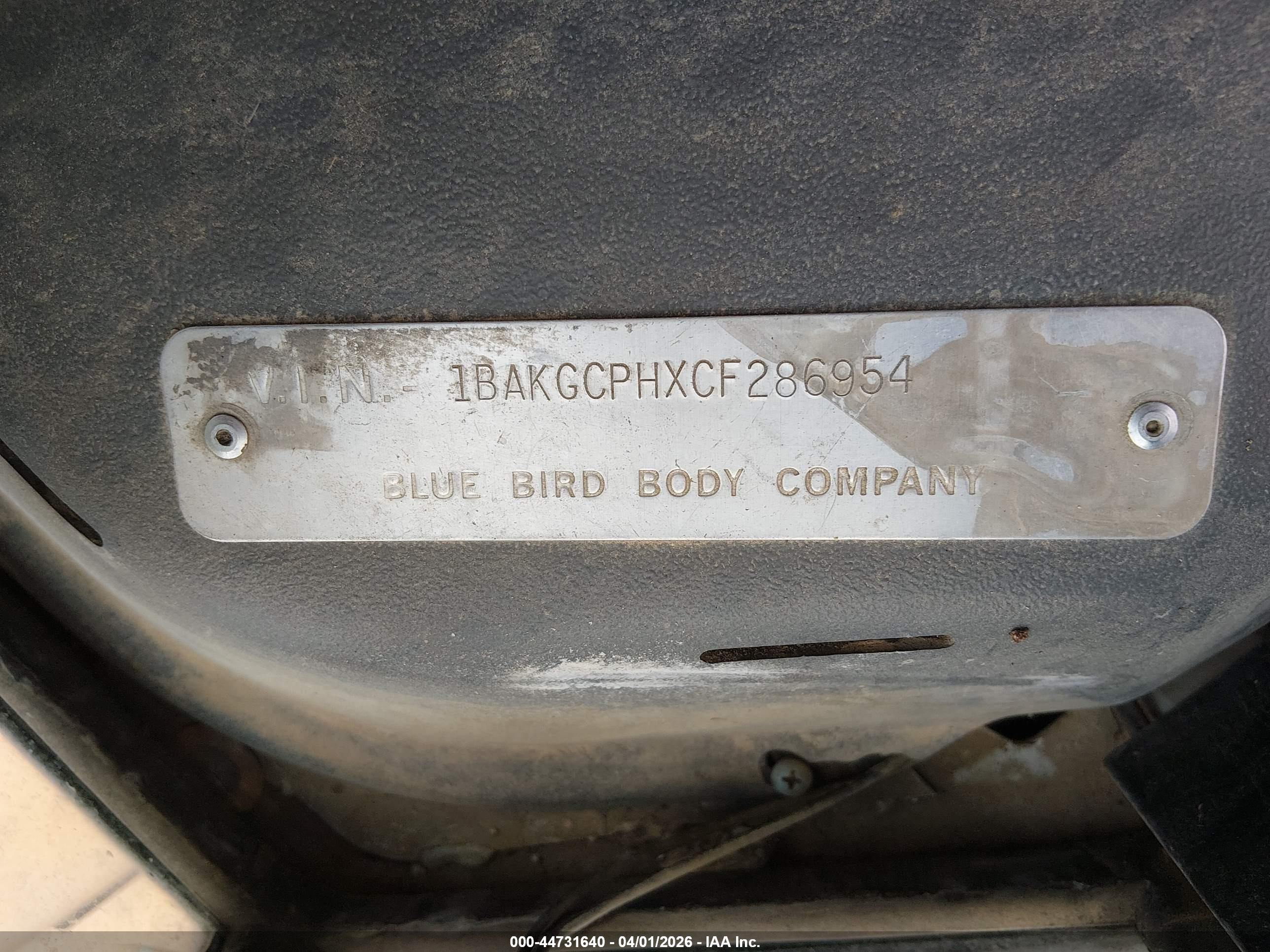 BLUE BIRD image 9