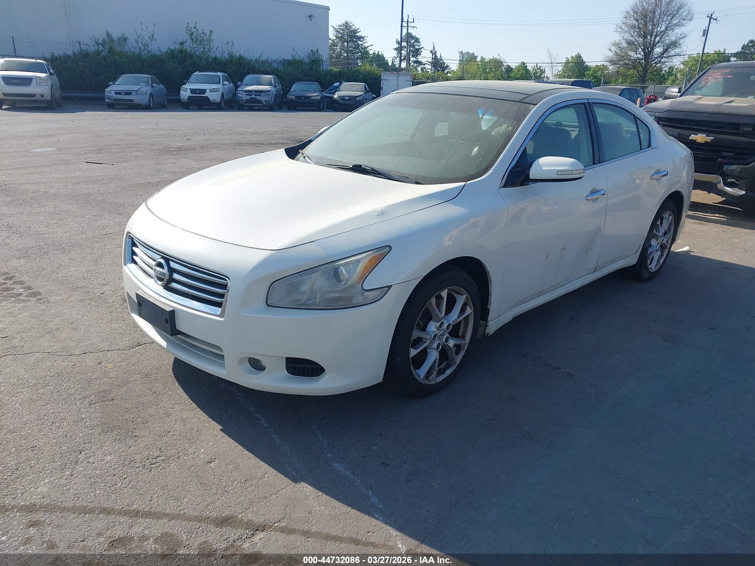 NISSAN MAXIMA image 2