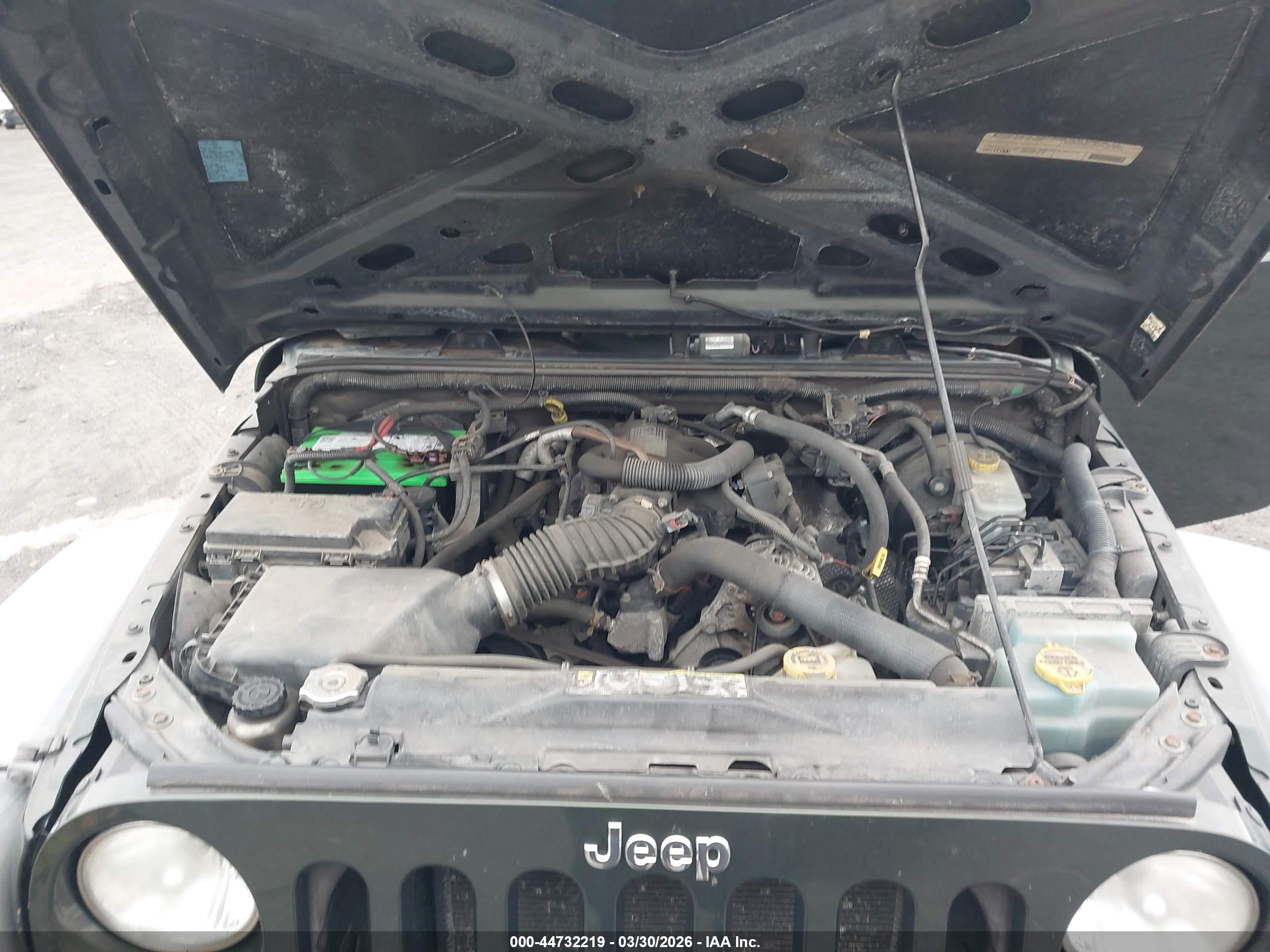 JEEP WRANGLER image 10