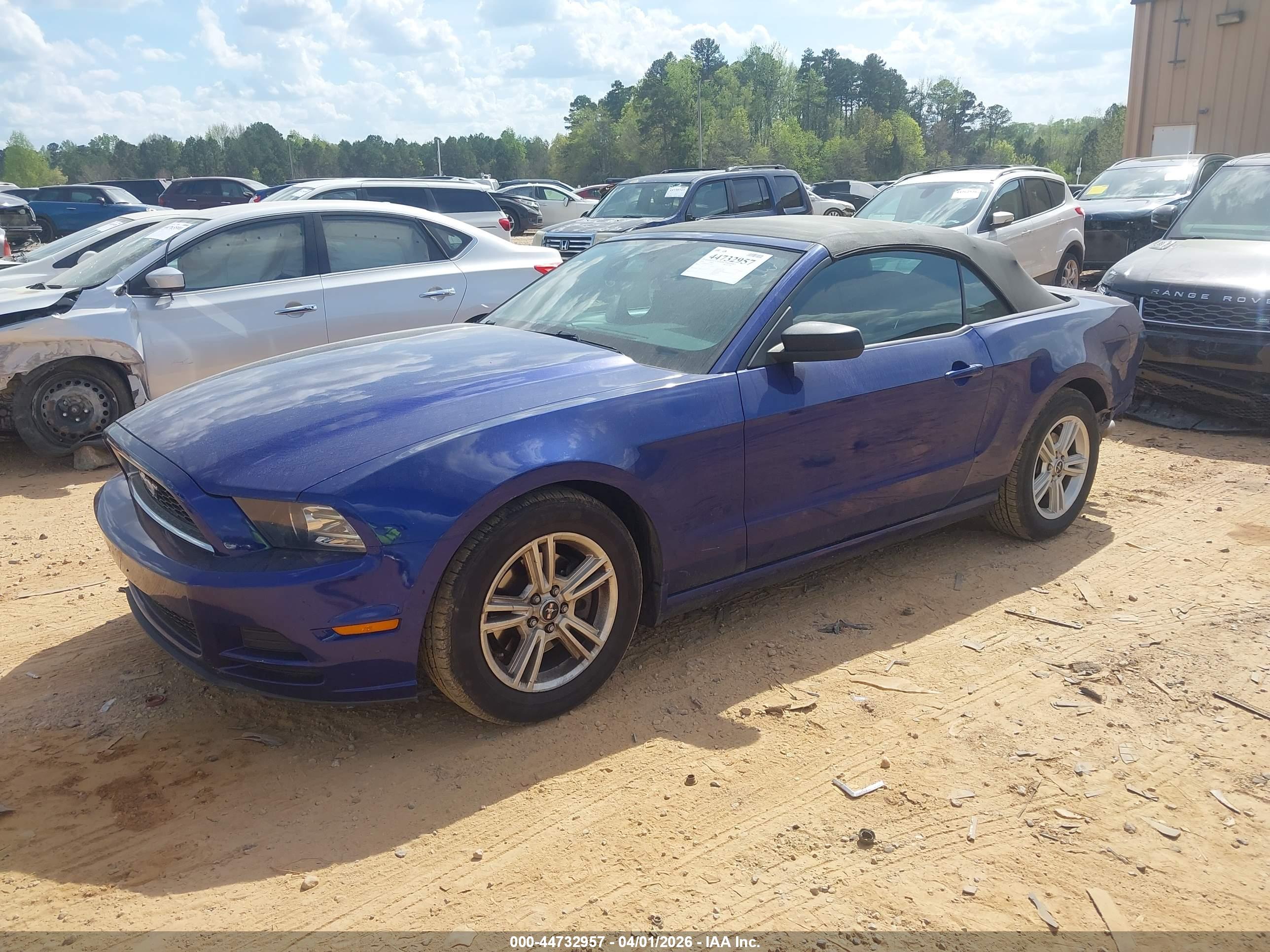 FORD MUSTANG image 2