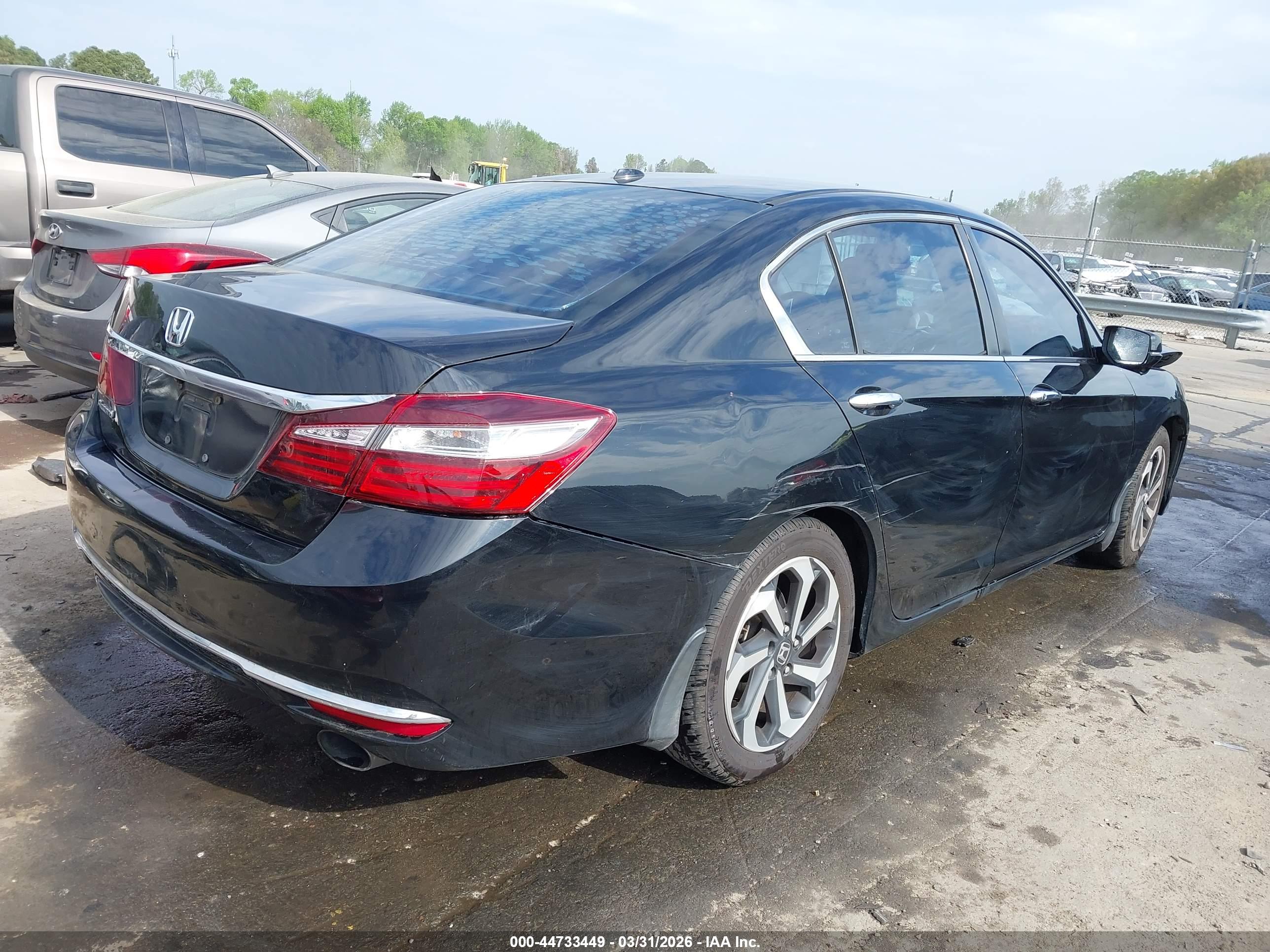 HONDA ACCORD image 4