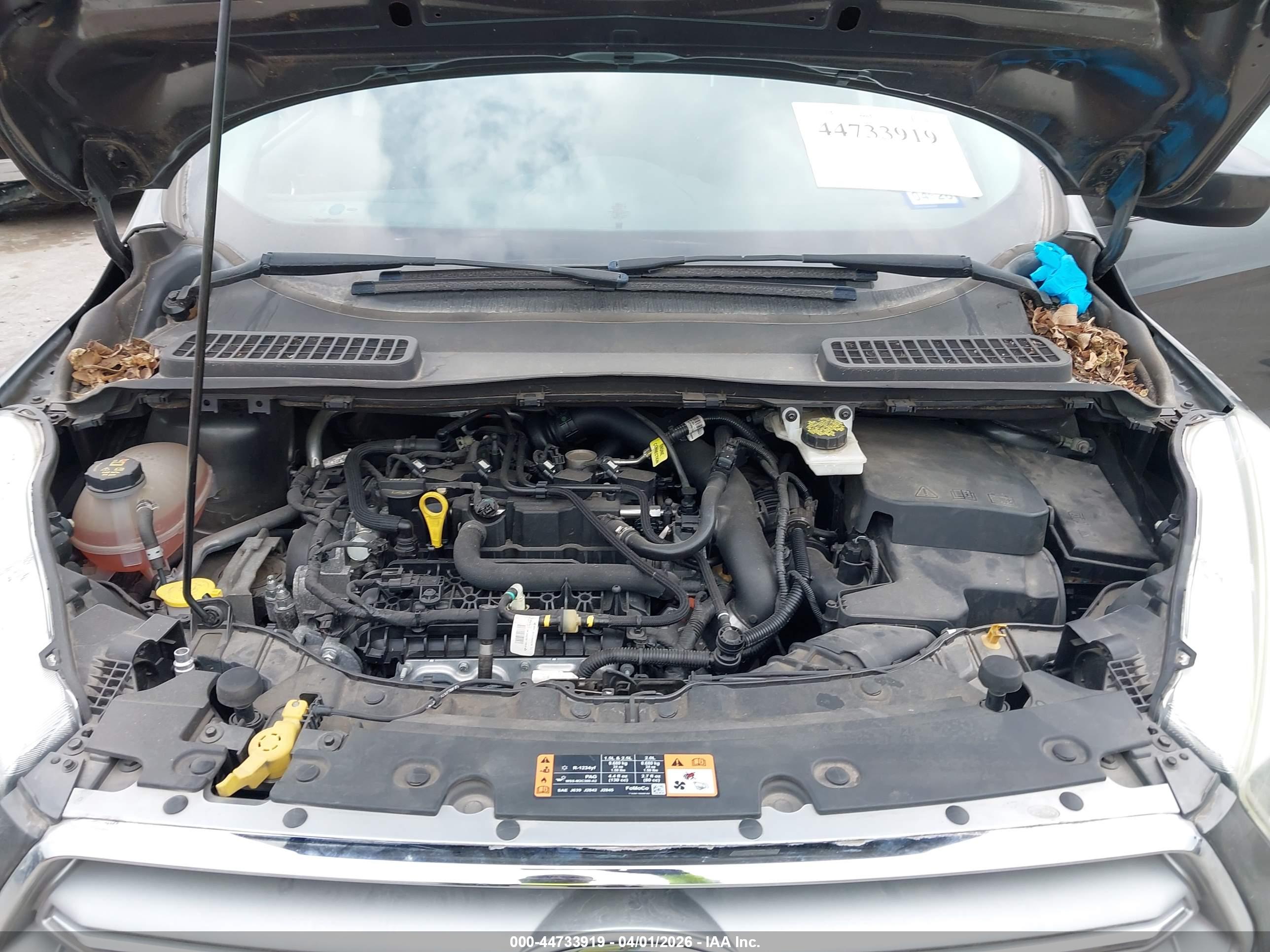 FORD ESCAPE image 10