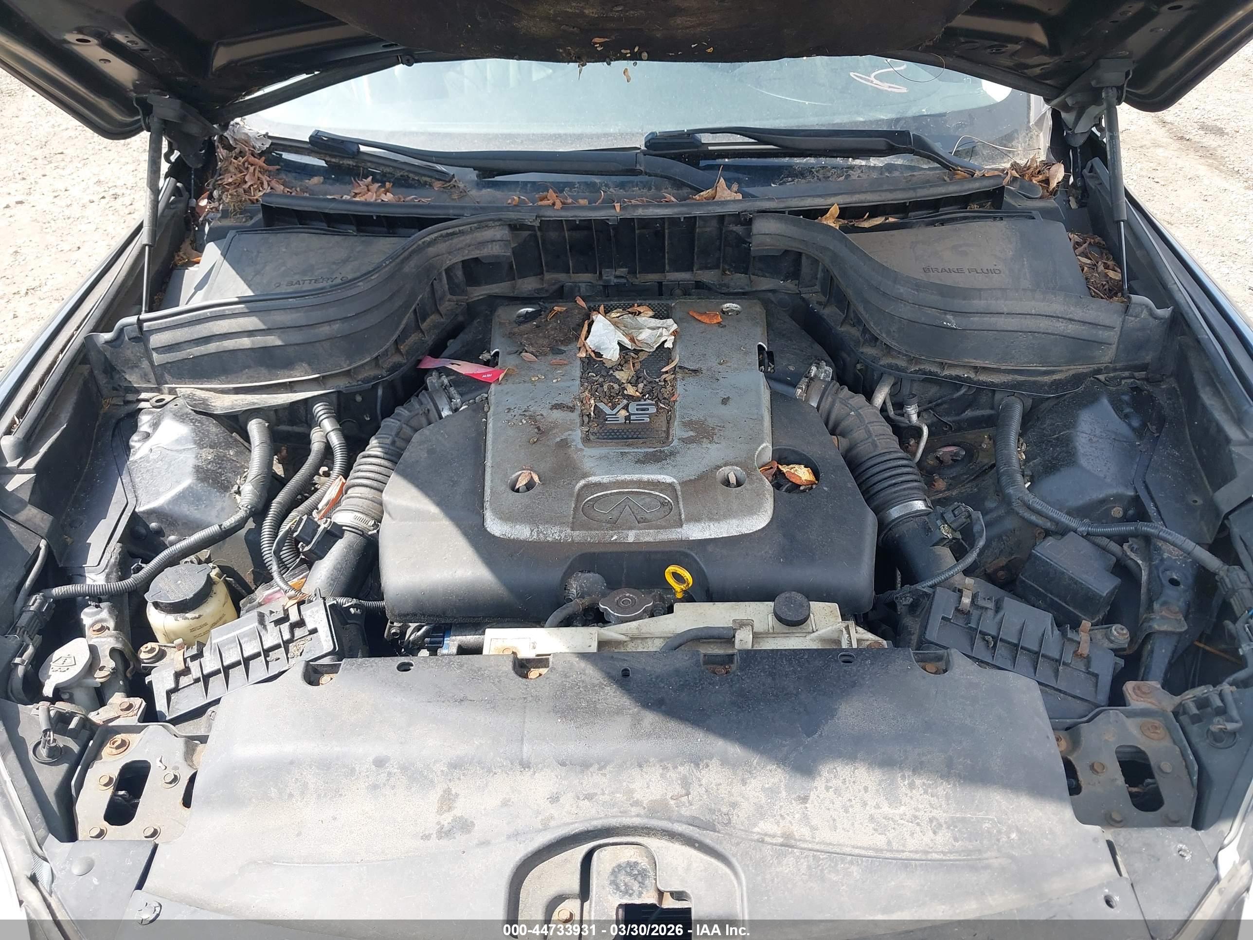 INFINITI EX35 image 6