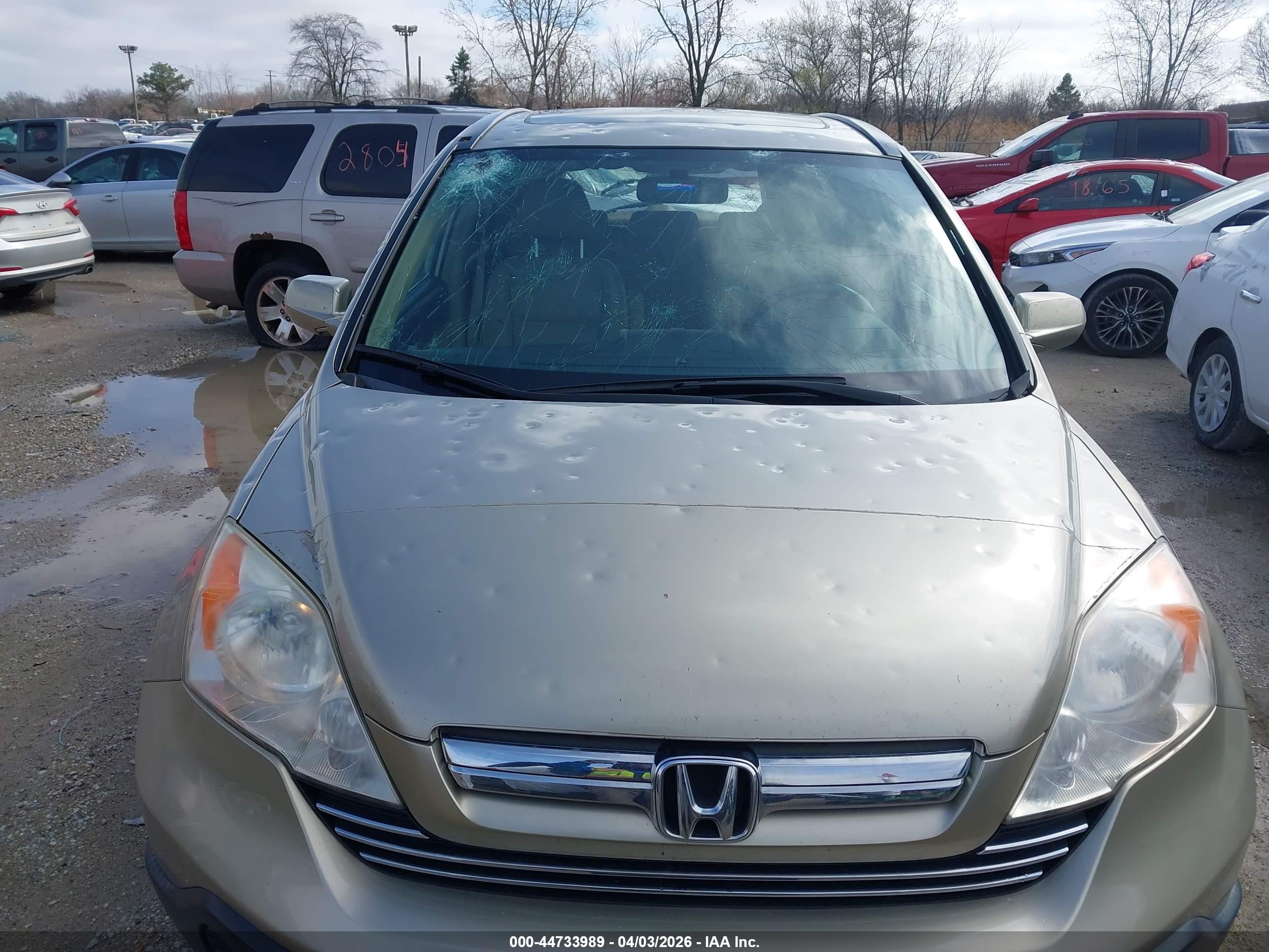 HONDA CR-V image 6
