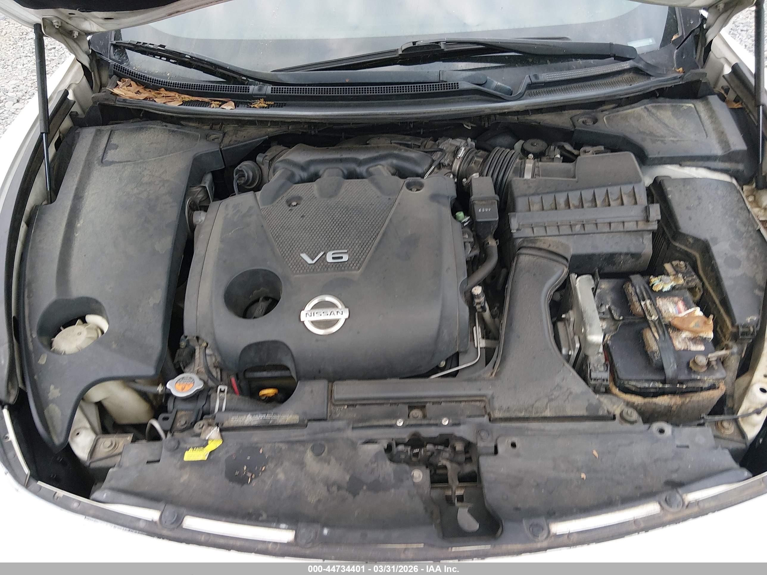 NISSAN MAXIMA image 10